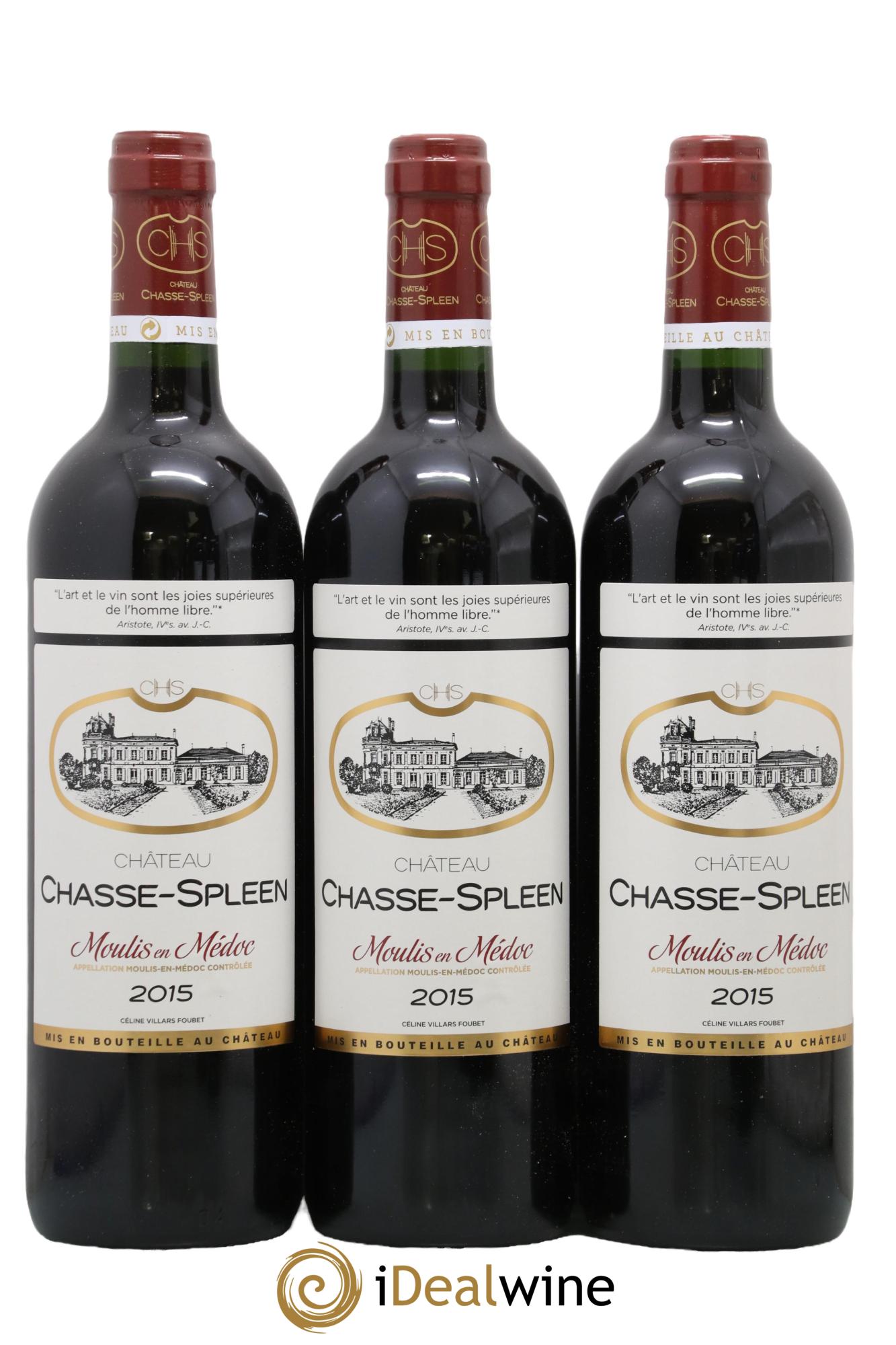 Château Chasse Spleen 2015 - Lot de 12 bouteilles - 4
