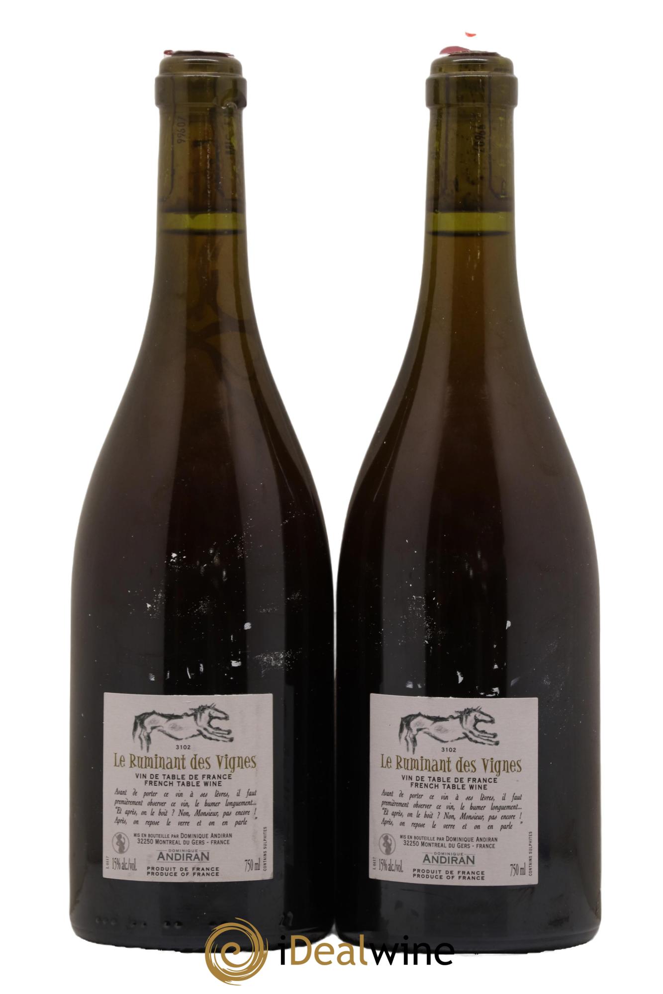 Vin de France Le Ruminant des Vignes Dominique Andiran 2013 - Lot de 2 bouteilles - 1