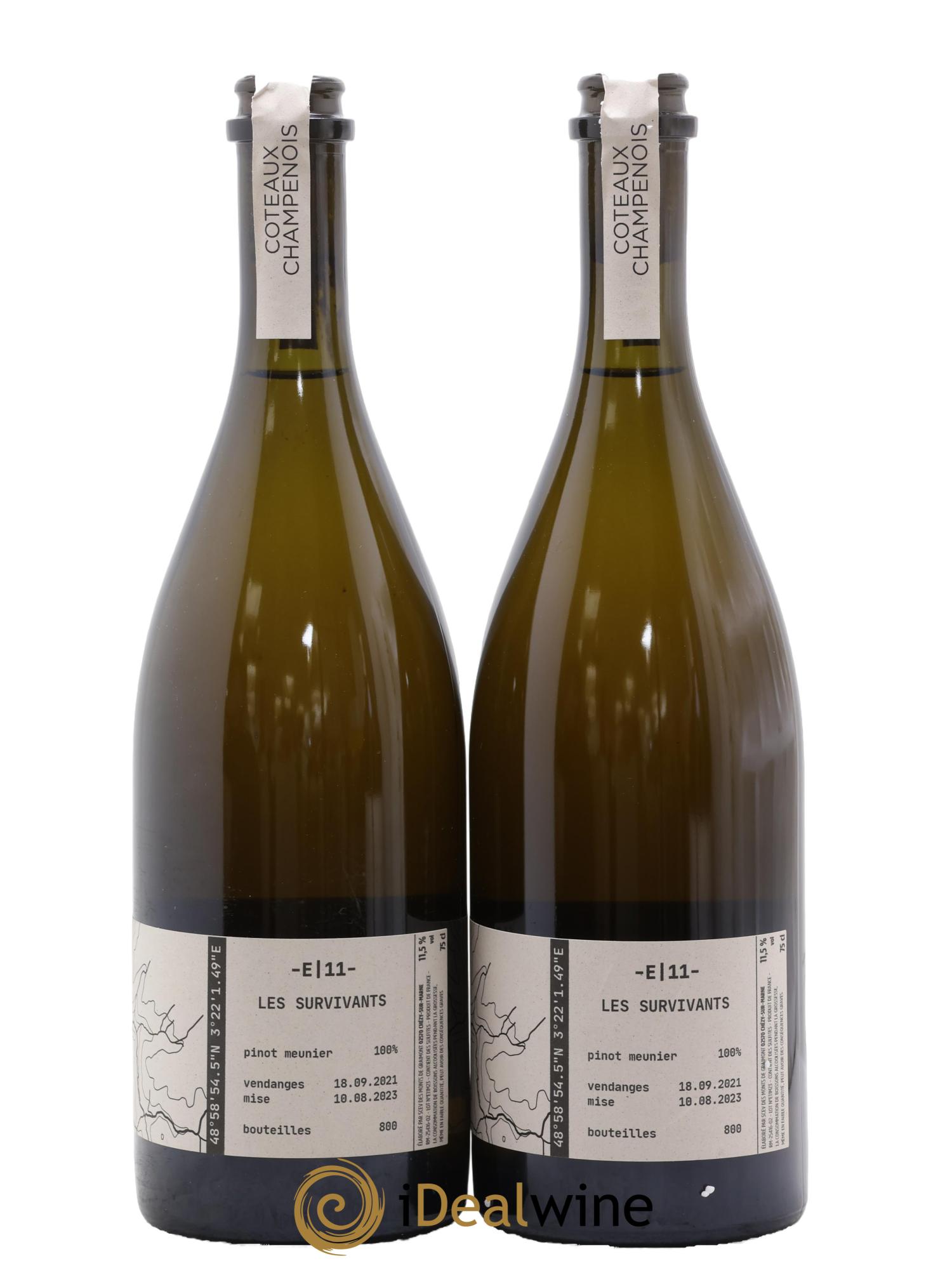 Coteaux Champenois E 11 Les Survivants Tom Gauditiabois 2021 - Lot de 2 bouteilles - 1