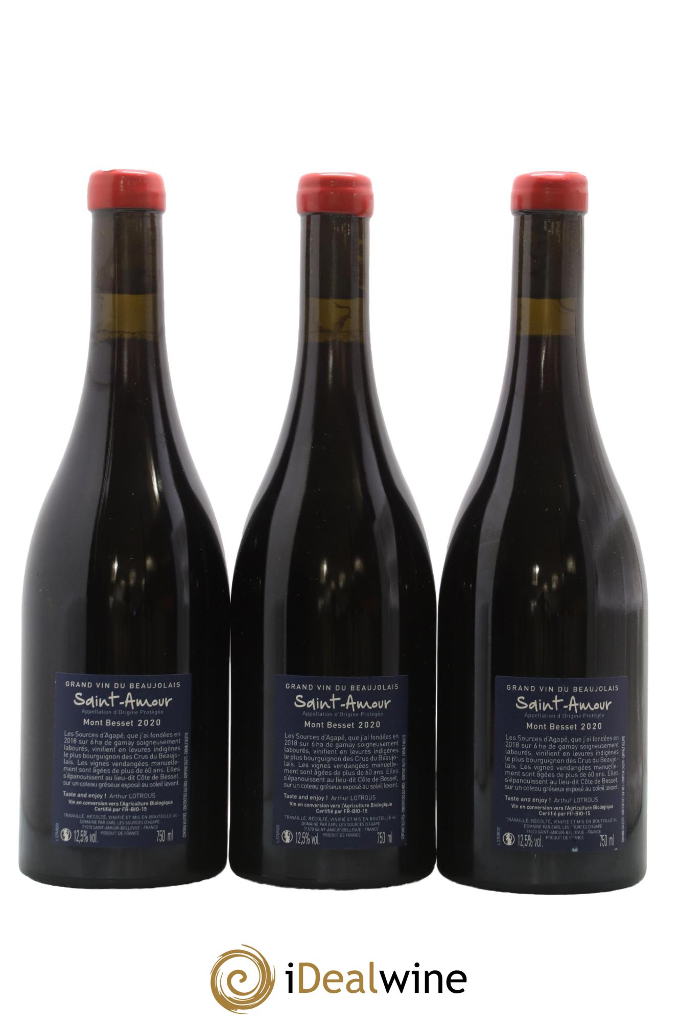Saint-Amour Mont Besset Les Sources d'Agapé Arthur Lotrous 2020 - Posten von 3 Flaschen - 1