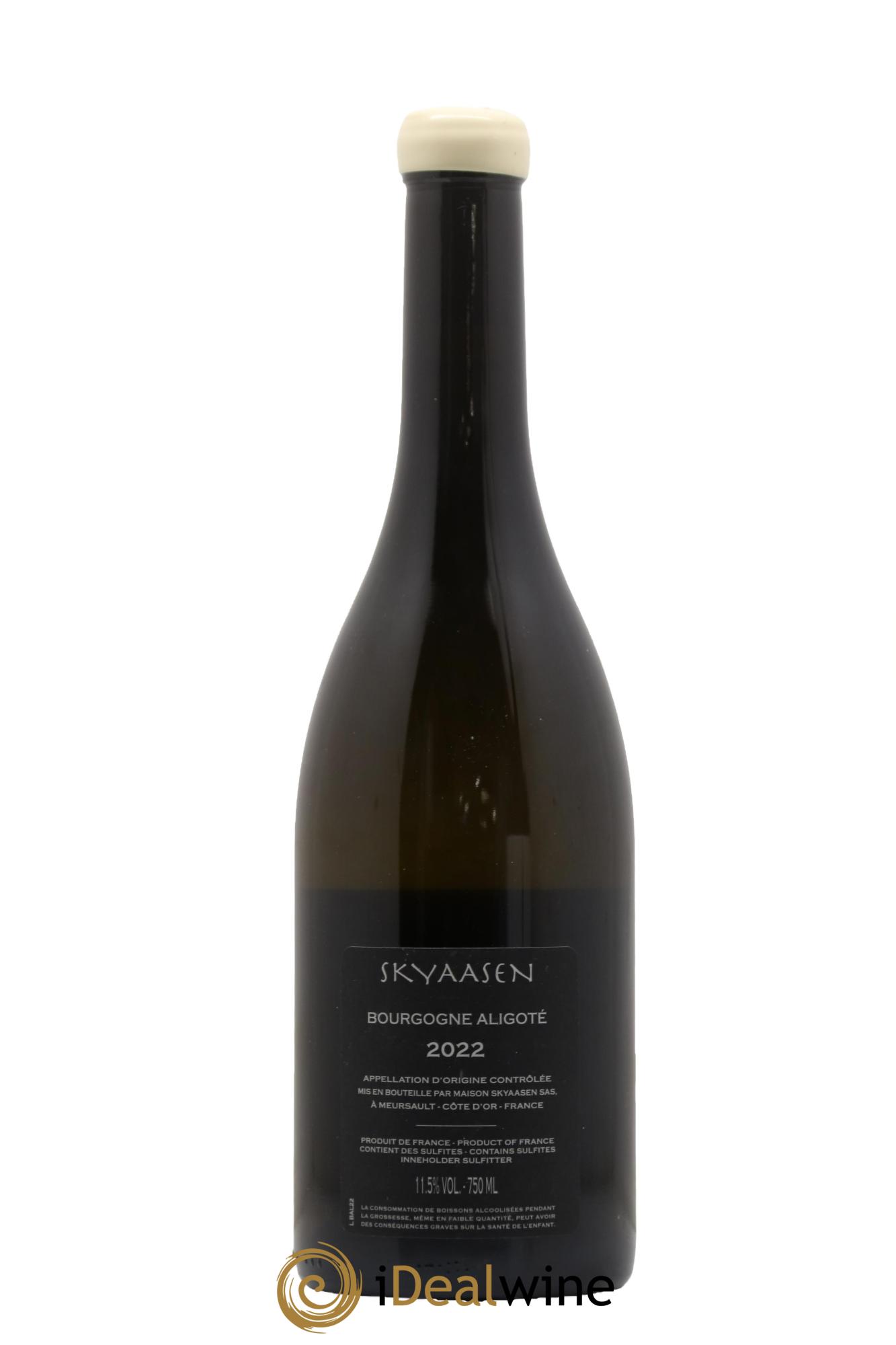 Bourgogne Aligoté Maison Skyaasen 2022 - Lot de 1 bouteille - 1