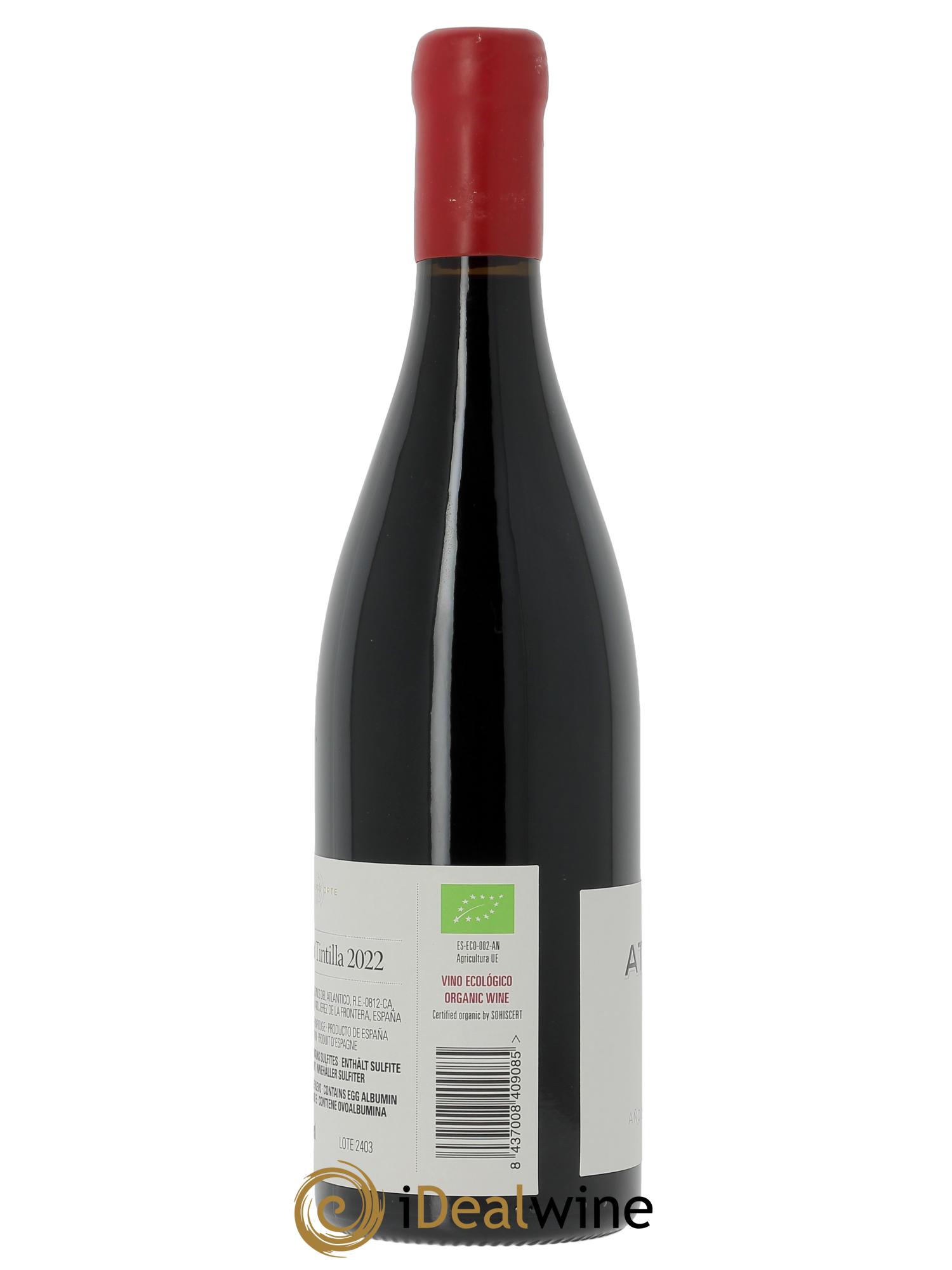 Vino de la Tierra de Cádiz Atlántida Alberto Orte  2022 - Posten von 1 Flasche - 2