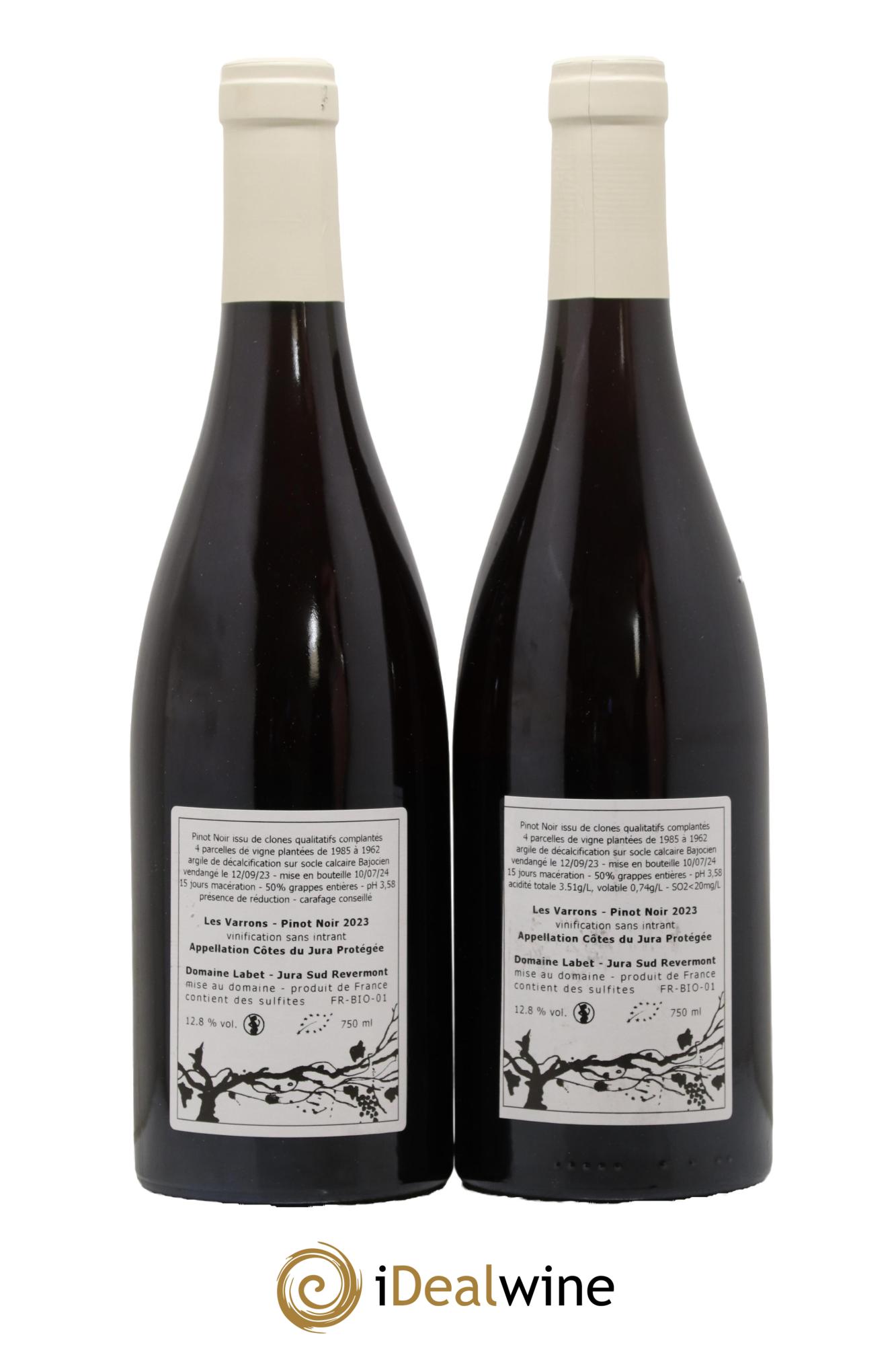 Côtes du Jura Pinot Noir Les Varrons Sélection Massale Romain - Julien  - Charline Labet 2023 - Lotto di 2 bottiglie - 1