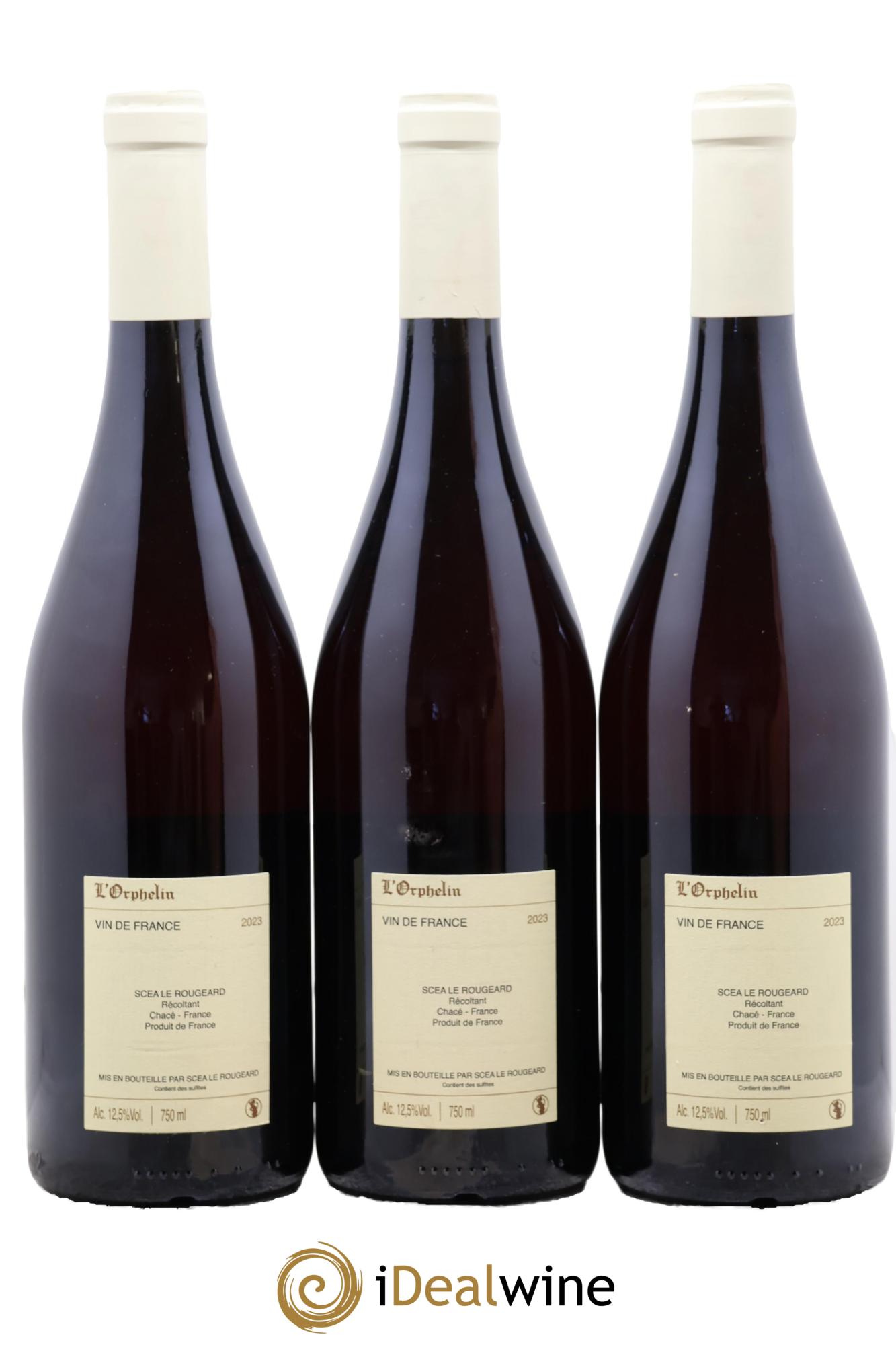 Vin de France L'Orphelin Clos Rougeard 2023 - Lot of 3 bottles - 1