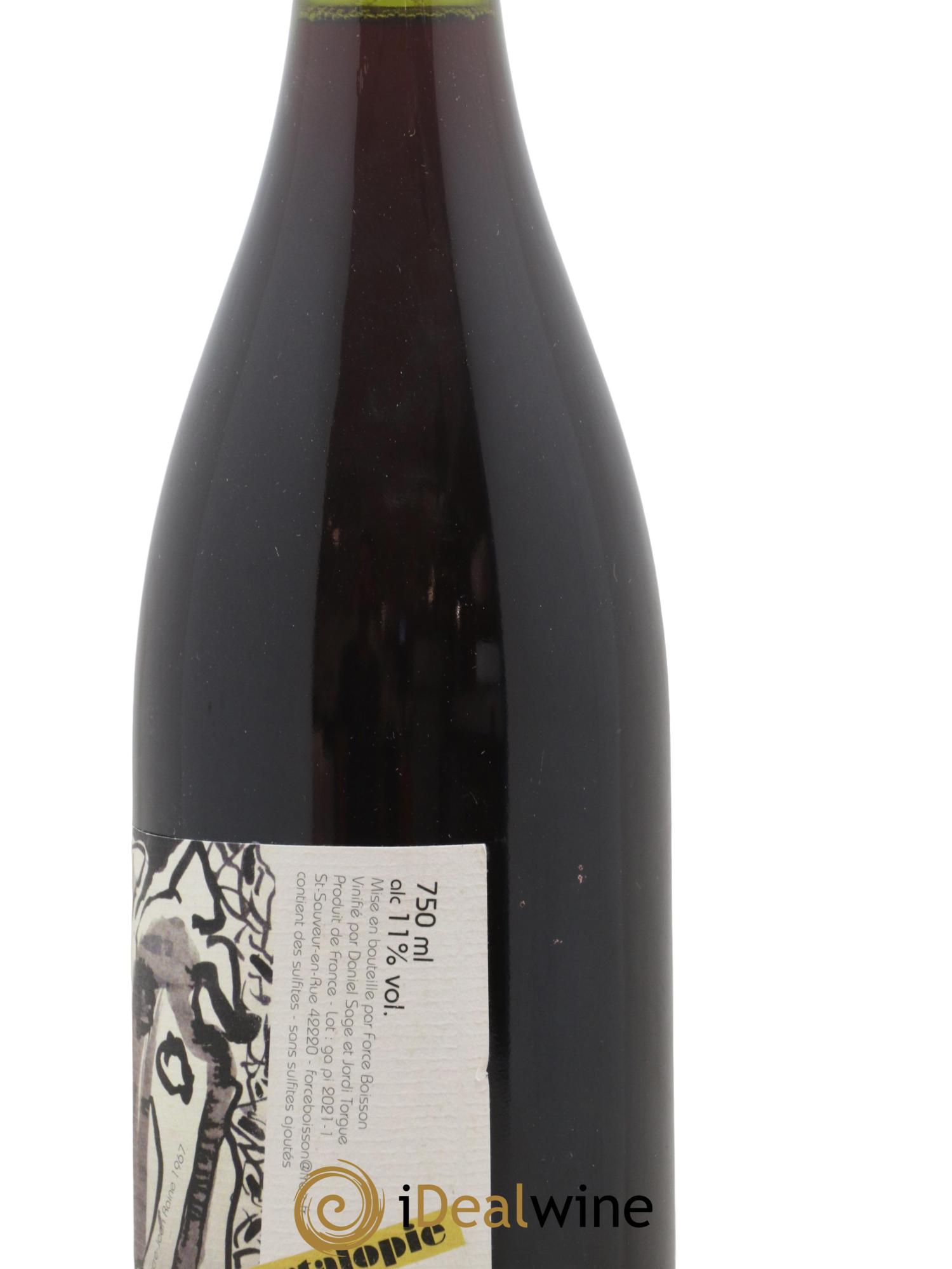 Vin de France Nyctalopie Daniel Sage 2020 - Lotto di 1 bottiglia - 1