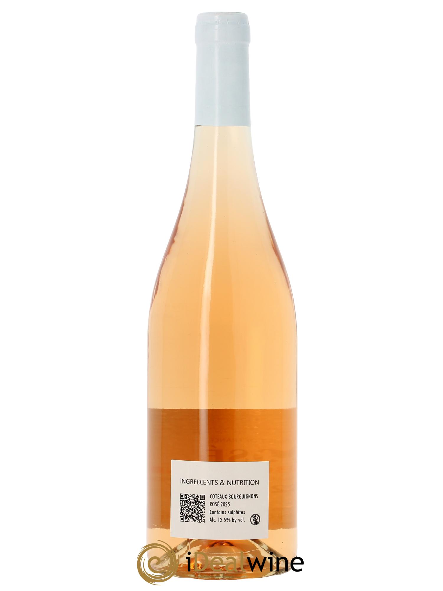 Coteaux Bourguignons Vincent Bouzereau (Domaine) 2025 - Lotto di 1 bottiglia - 1