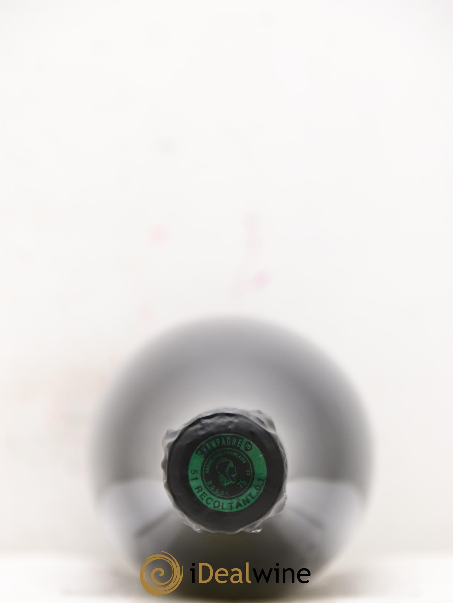 Roses de Jeanne La Bolorée Cédric Bouchard 2019 - Posten von 1 Flasche - 2