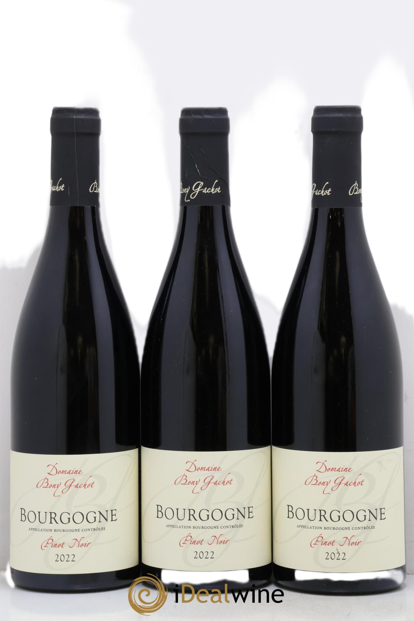 Bourgogne Bony Gachot 2022 - Posten von 3 Flaschen - 0