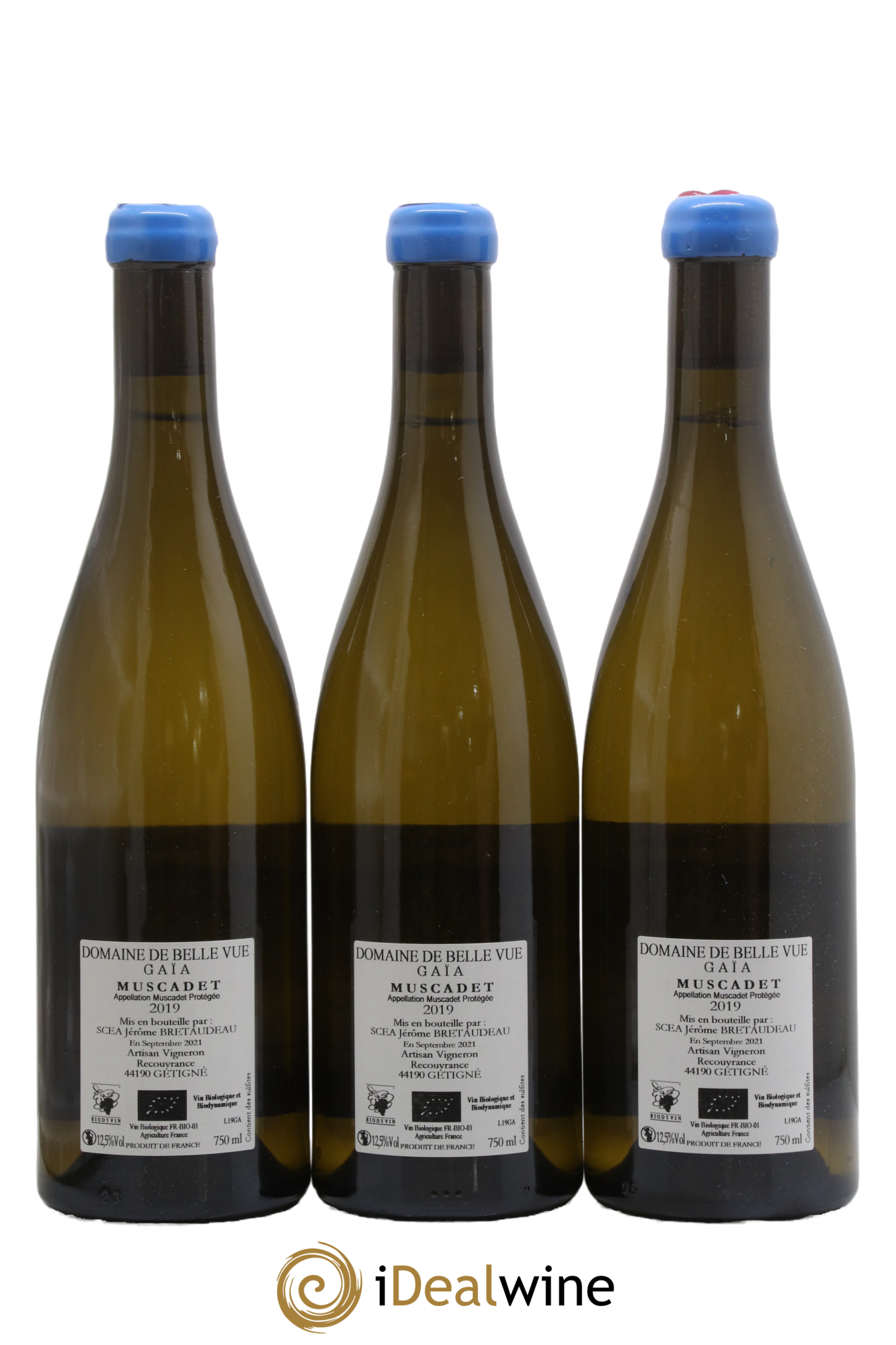 Muscadet-Sèvre-et-Maine Gaia Jérôme Bretaudeau - Domaine de Bellevue 2019 - Lot de 3 bouteilles - 1