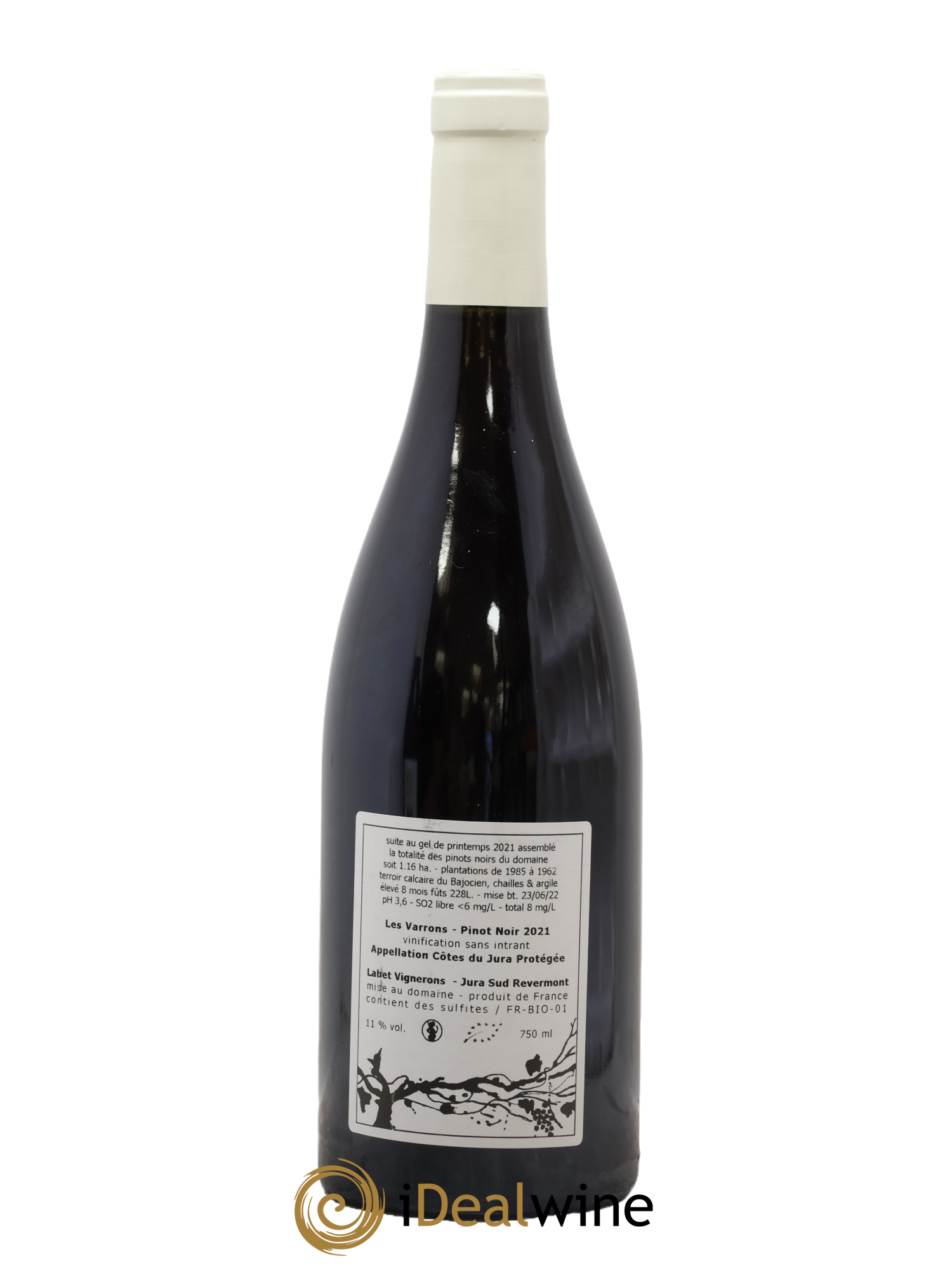 Côtes du Jura Pinot Noir Les Varrons Sélection Massale Romain - Julien - Charline Labet 2021 - Lotto di 1 bottiglia - 1