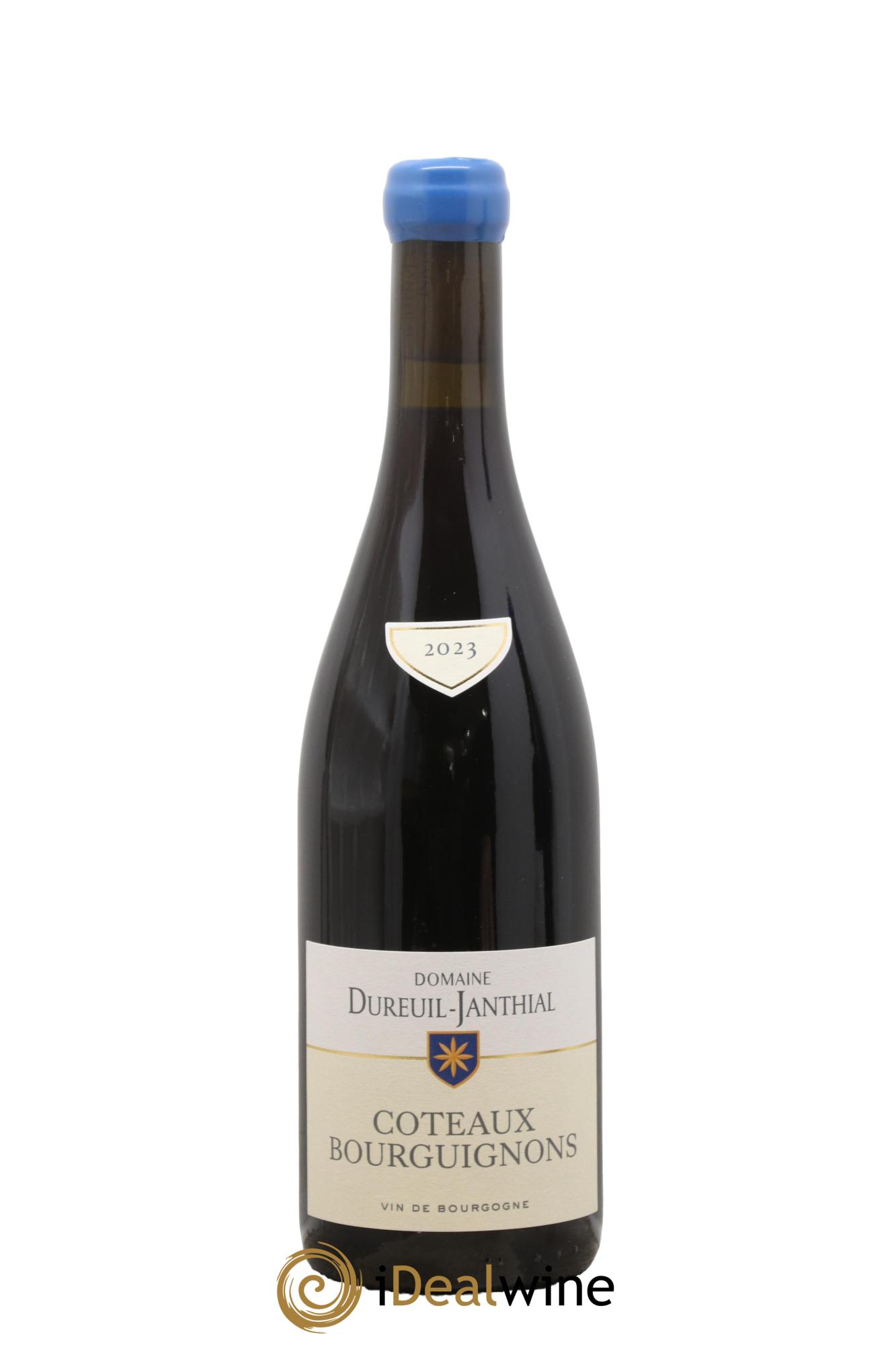 Côteaux Bourguignons Vincent Dureuil-Janthial 2023 - Lotto di 1 bottiglia - 0