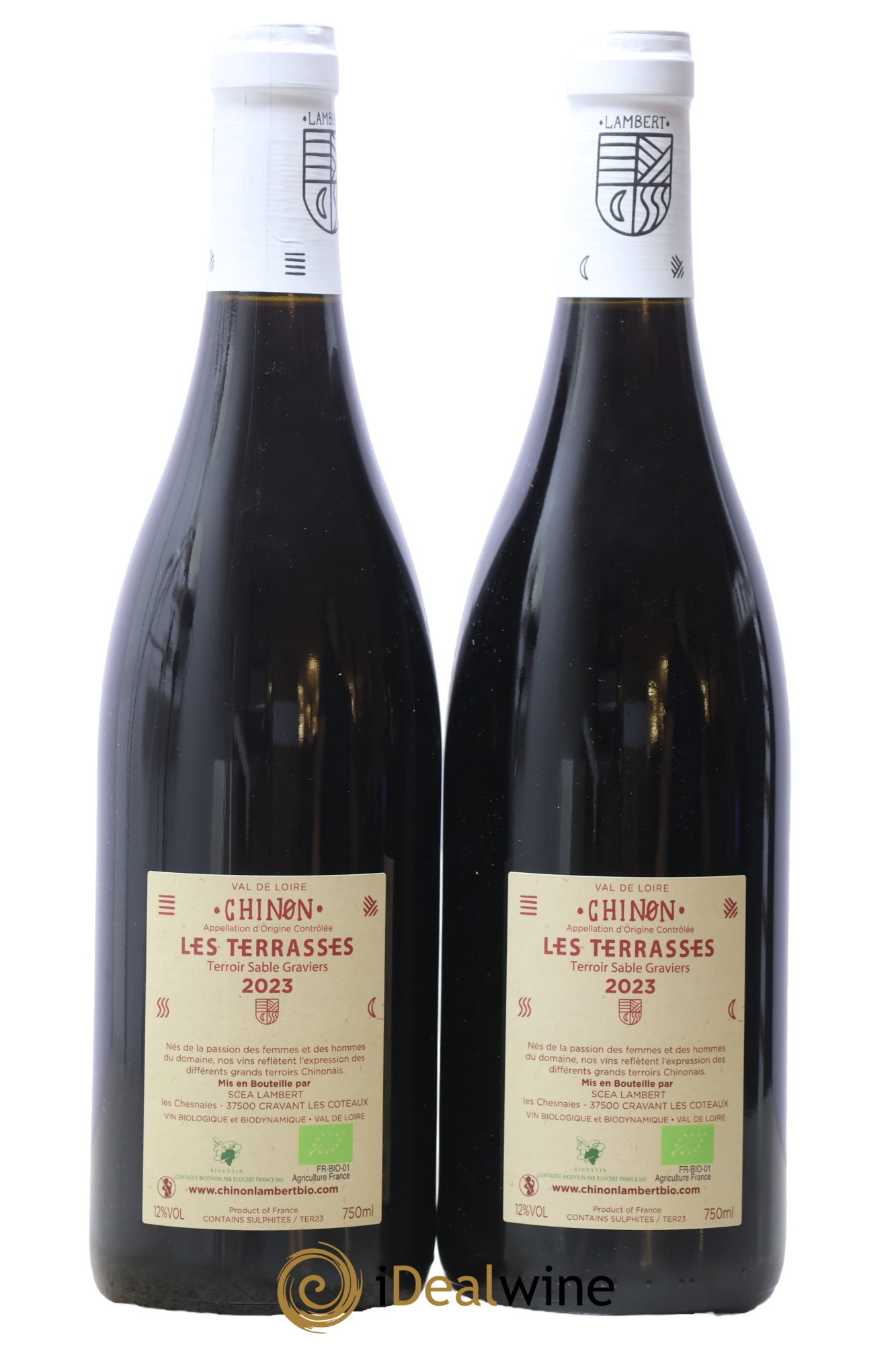 Chinon Les Terrasses Domaine Lambert 2023 - Lot of 2 bottles - 1