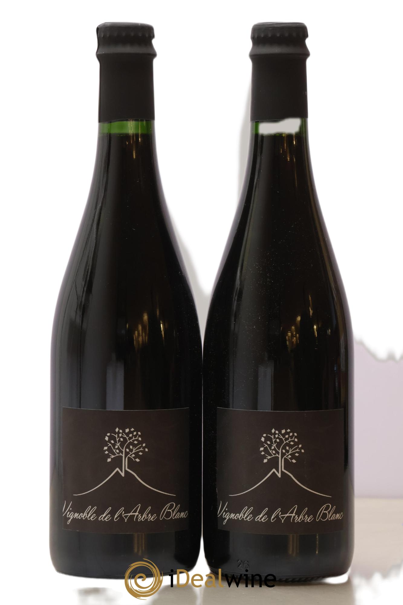 Vin de France Les Orgues Vignoble de l'Arbre Blanc 2021 - Lot de 2 bouteilles - 0