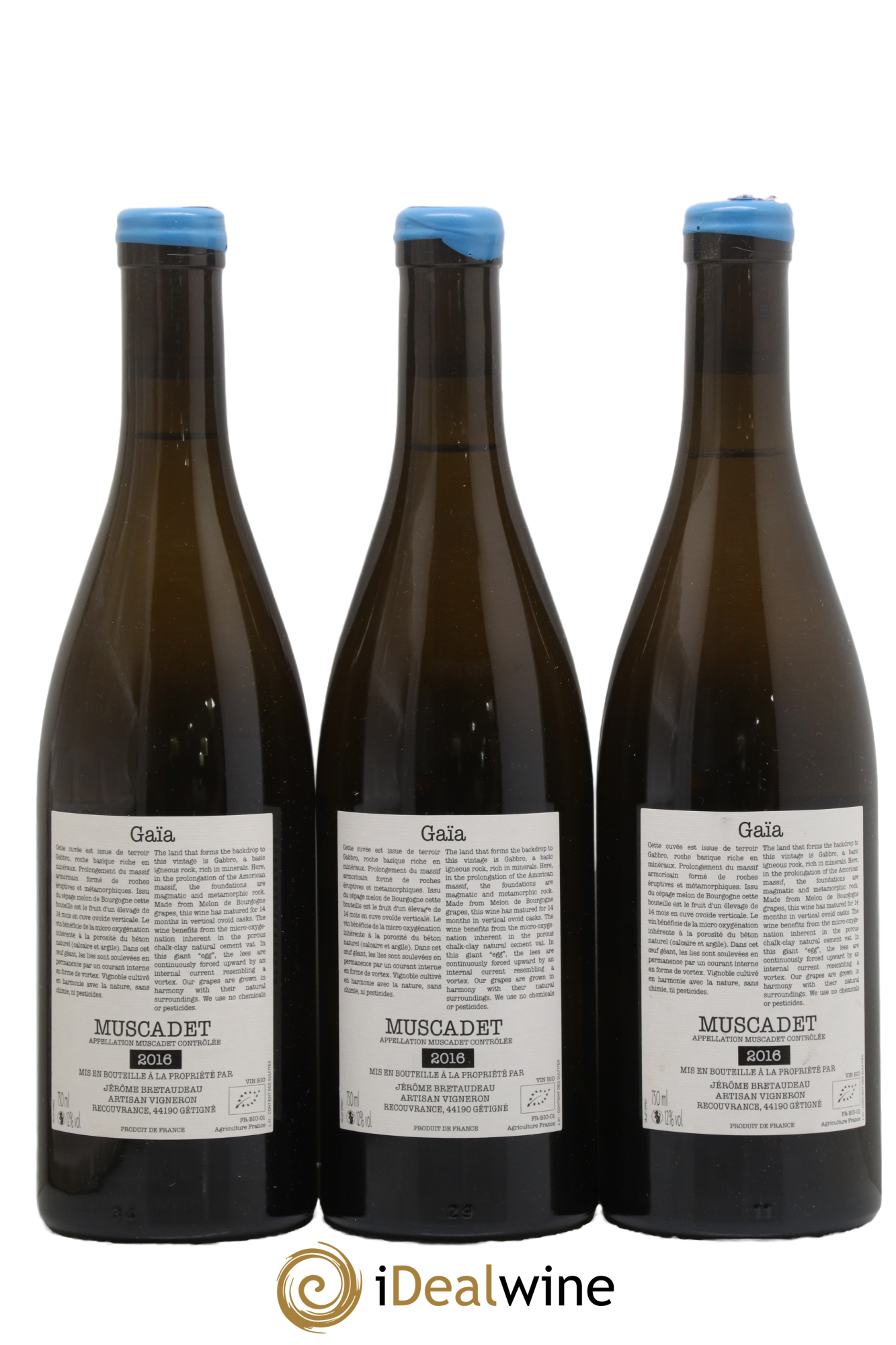 Muscadet-Sèvre-et-Maine Gaia Jérôme Bretaudeau - Domaine de Bellevue 2016 - Posten von 3 Flaschen - 1