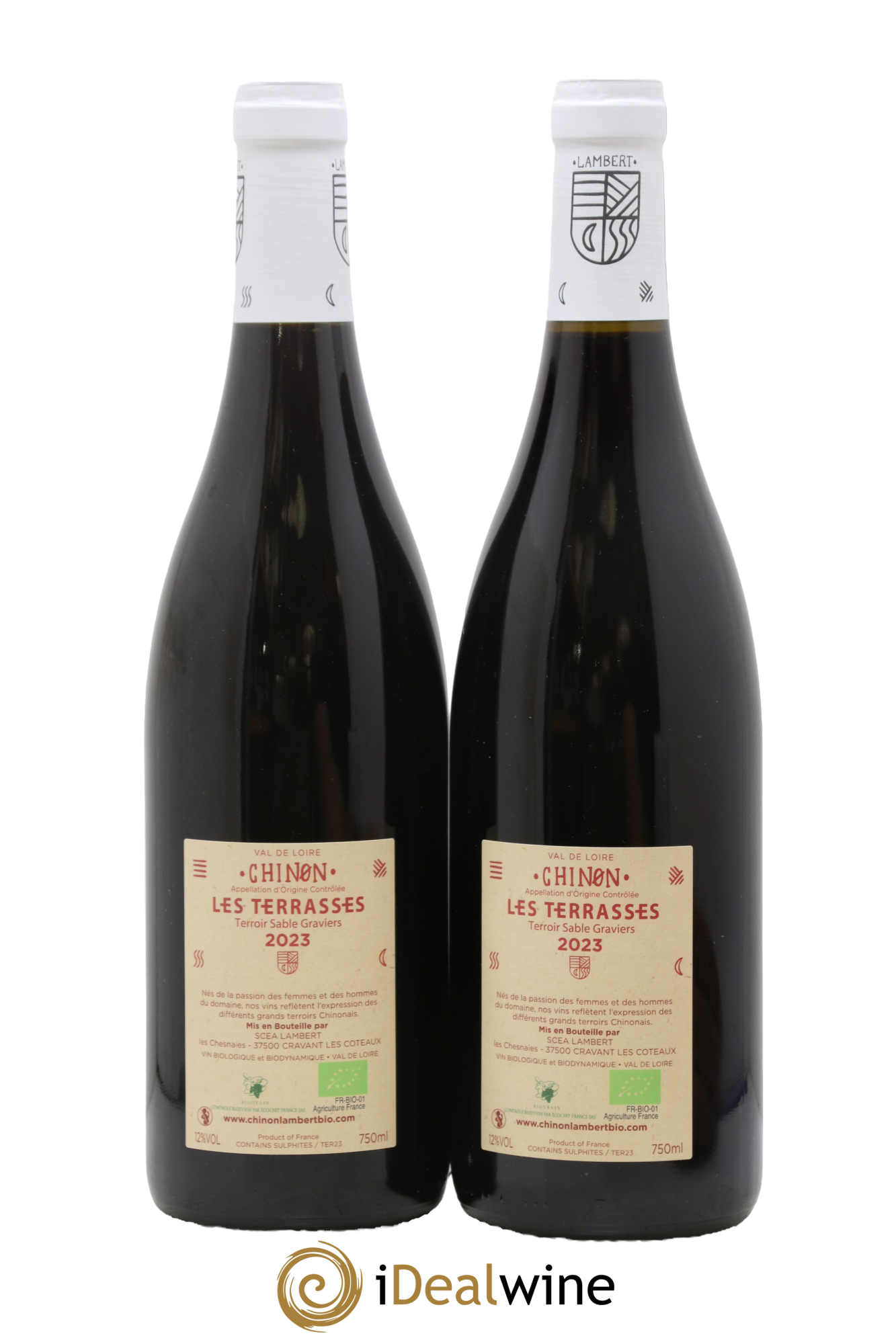 Chinon Les Terrasses Domaine Lambert 2023 - Lot de 2 bouteilles - 1