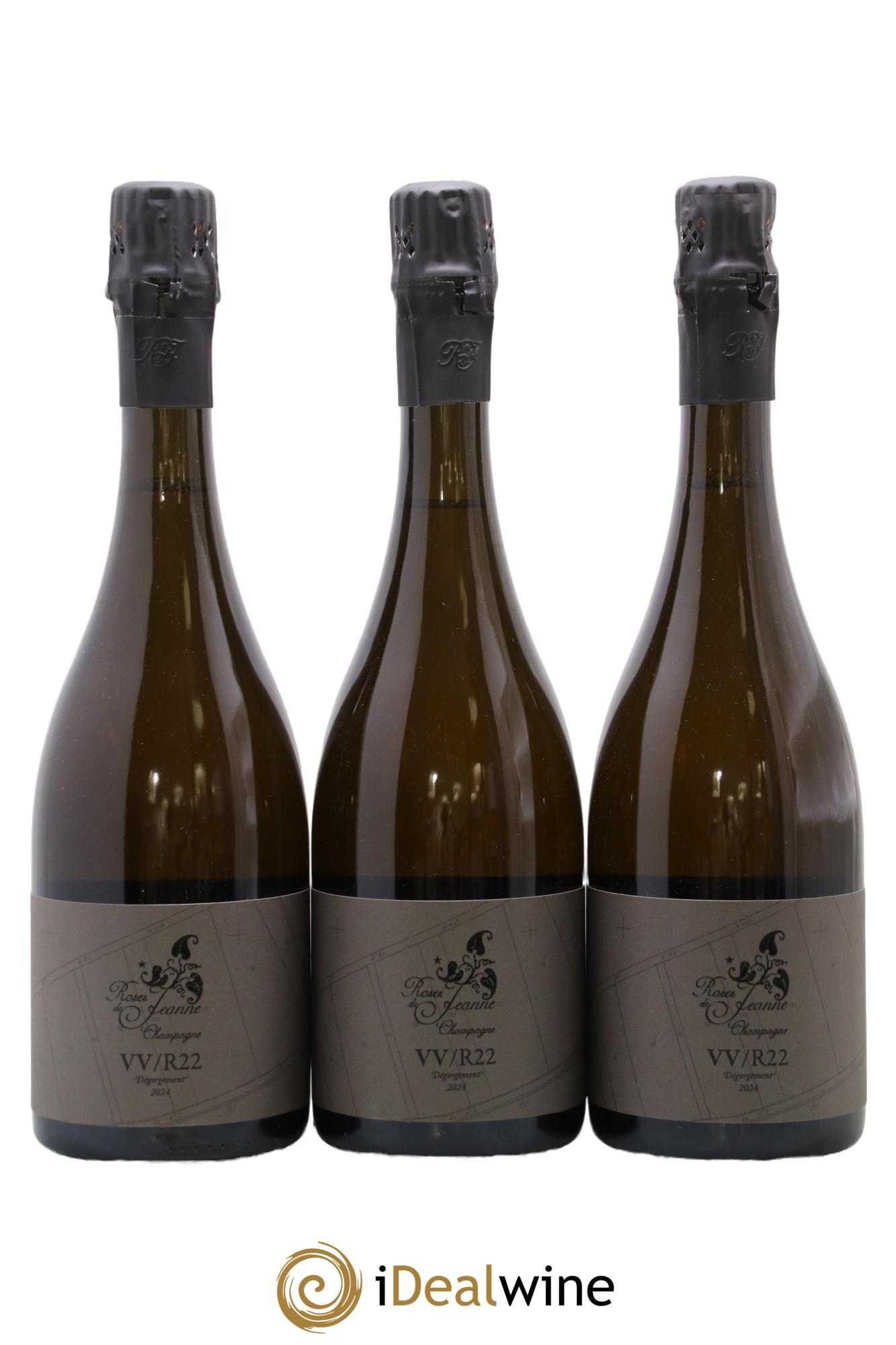 Roses de Jeanne Côte de Val Vilaine Blanc de Noirs Cédric Bouchard 2022 - Lot de 3 bouteilles - 0