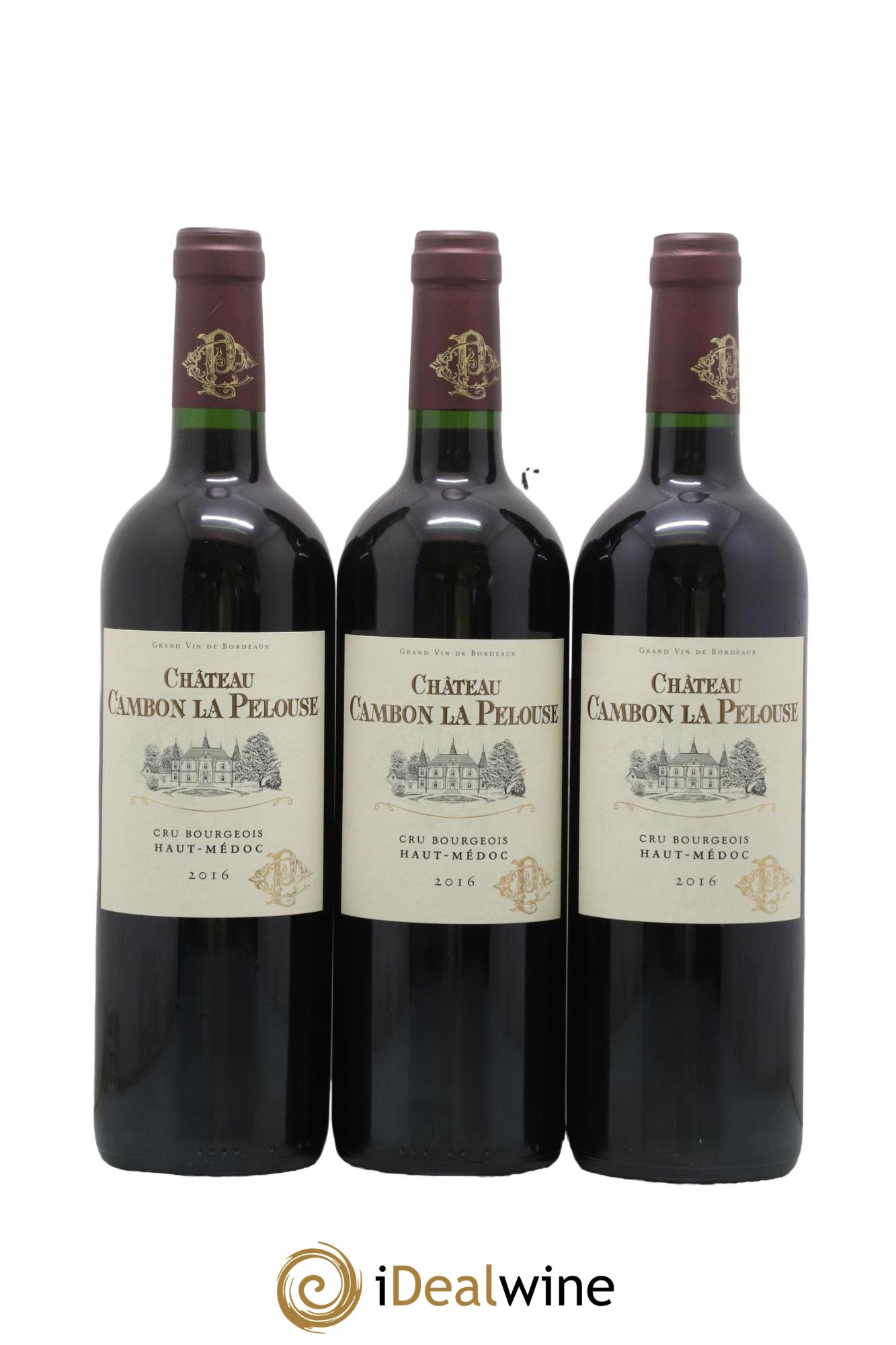 Château Cambon la Pelouse Cru Bourgeois 2016 - Lotto di 3 bottiglie - 0
