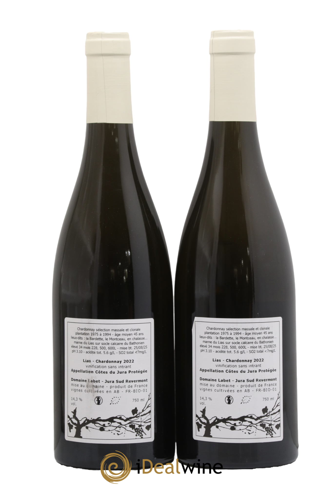Côtes du Jura Chardonnay Lias Romain - Julien - Charline Labet 2022 - Lot de 2 bouteilles - 1