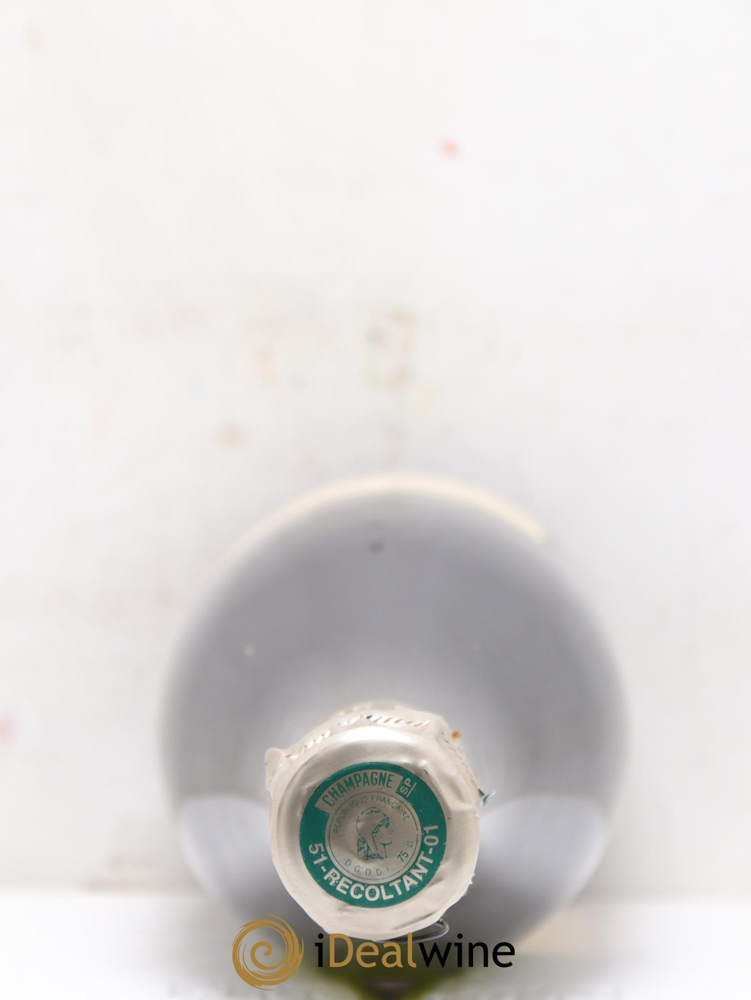 Version Originale Jacques Selosse - Posten von 1 Flasche - 2