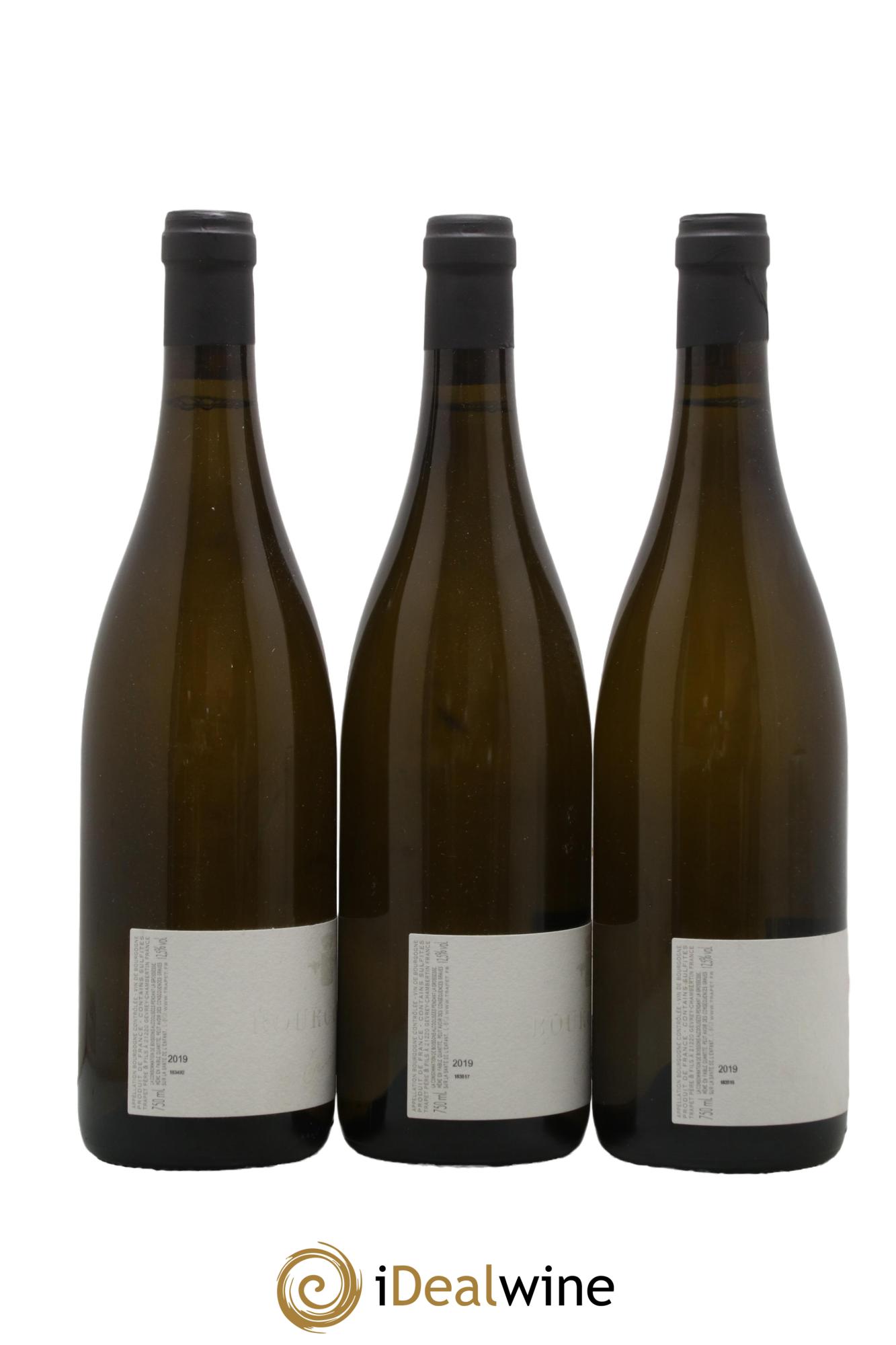 Bourgogne Domaine Trapet 2019 - Posten von 3 Flaschen - 1