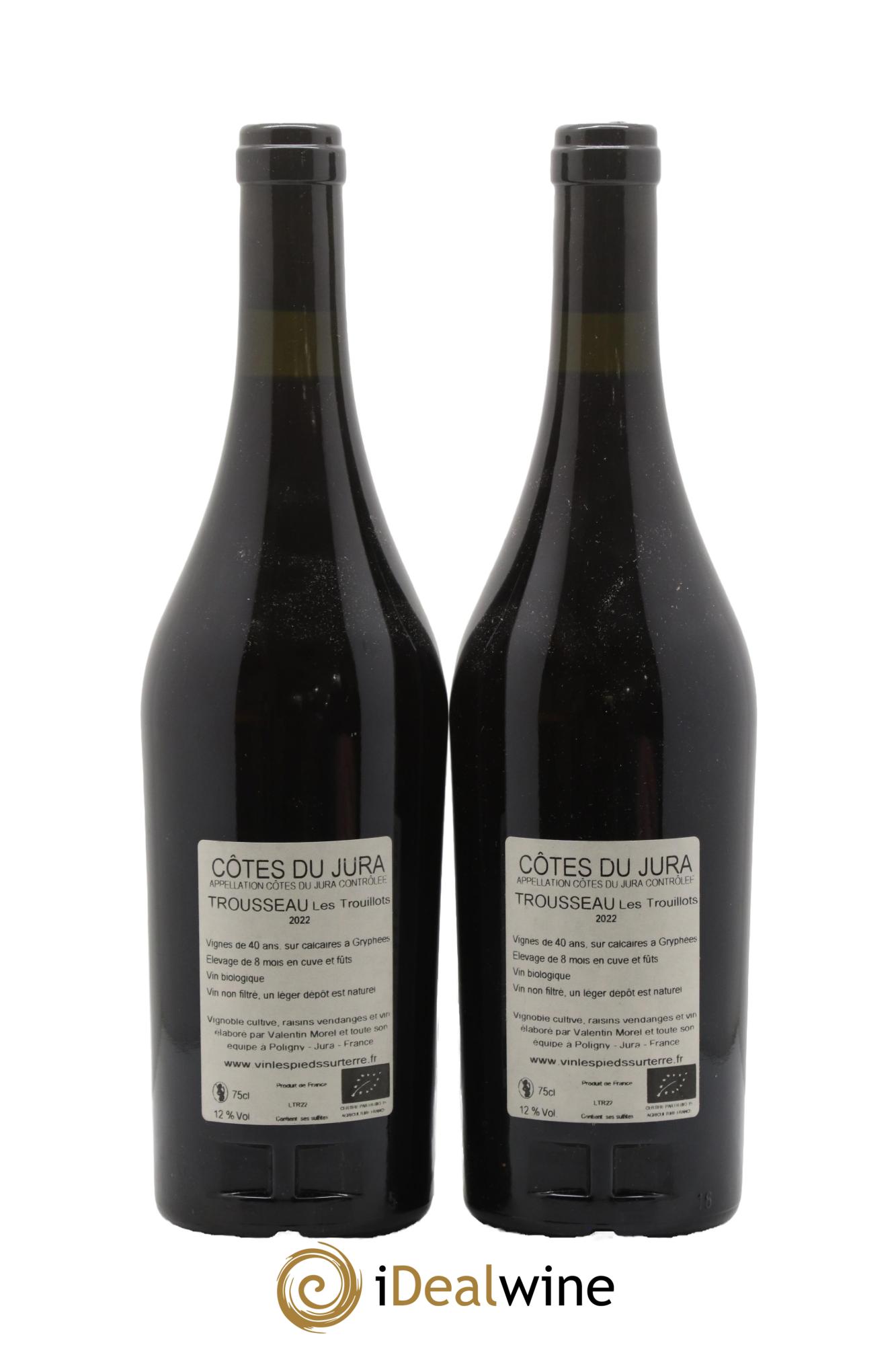 Côtes du Jura Trousseau - Les Trouillots Valentin Morel 2022 - Lot of 2 bottles - 1