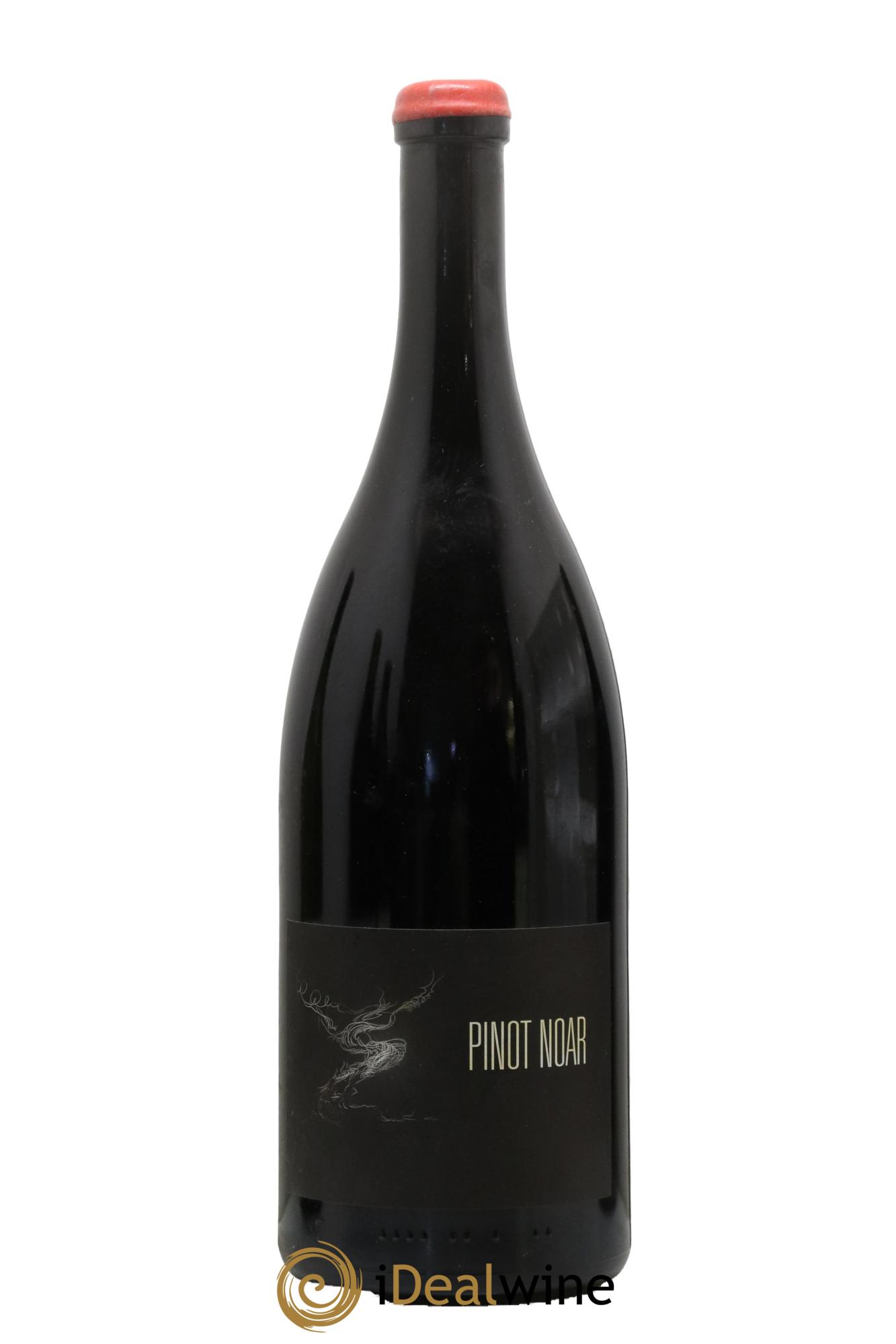 Hautes-Côtes de Nuits Pinot Noar Arnaud Lopez 2019 - Lot of 1 magnum - 0