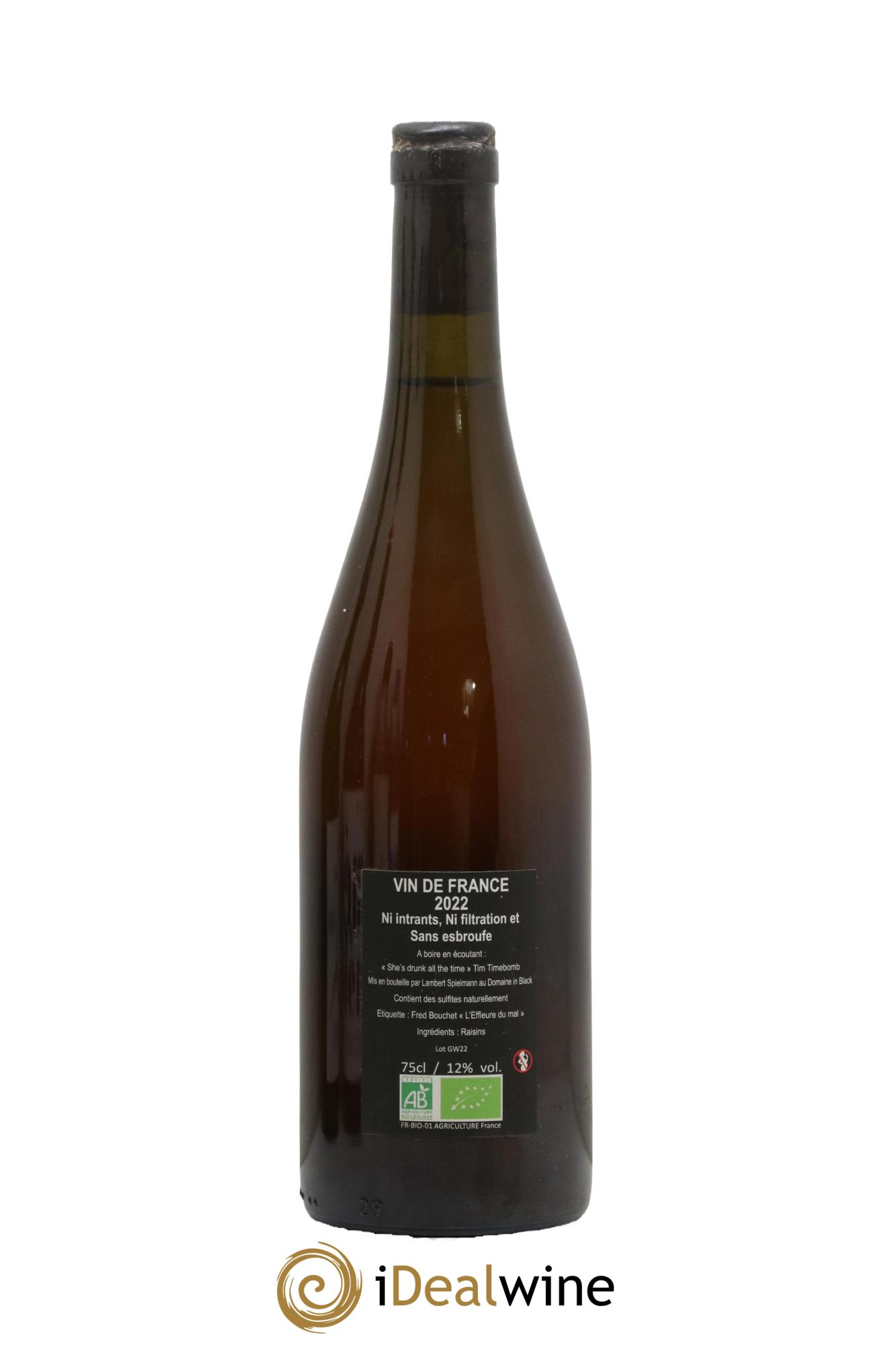 Vin de France Adul'Terre Domaine in Black 2022 - Lot de 1 bouteille - 1