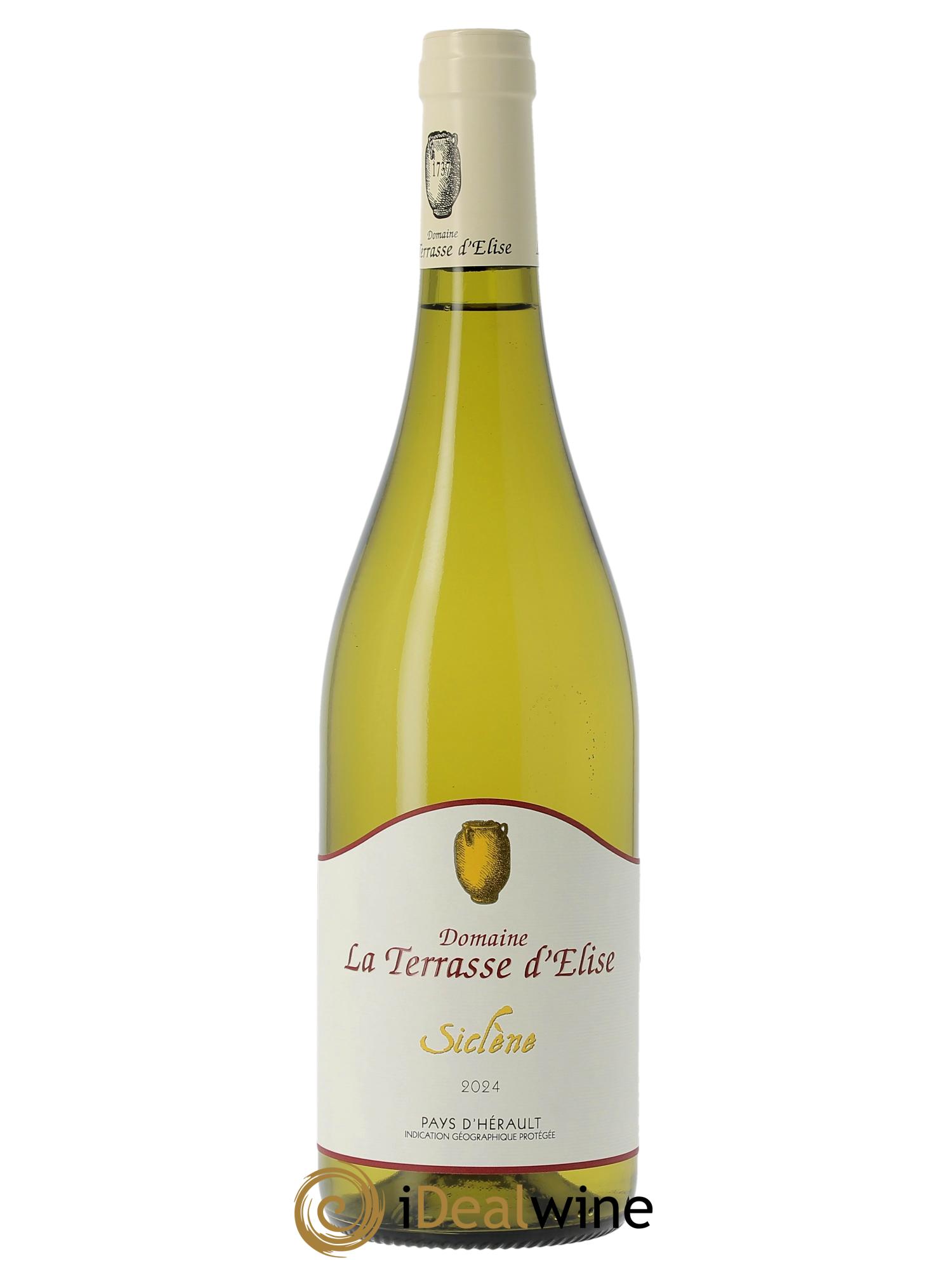 IGP Pays d'Hérault Siclène Terrasse d'Elise (Domaine de la) 2024 - Posten von 1 Flasche - 0