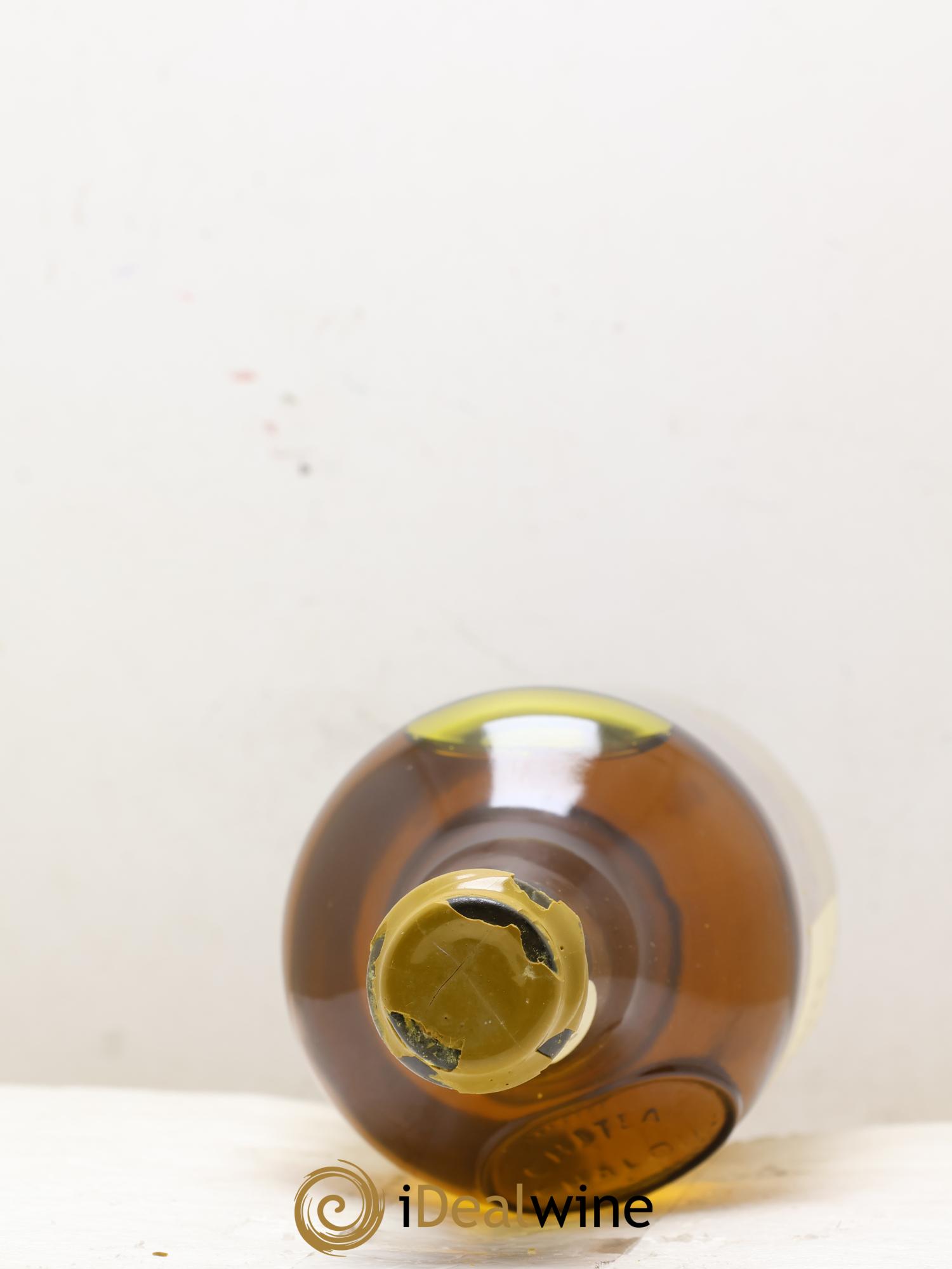 Château-Chalon Vignes aux Dames M. Perron 1979 - Posten von 1 Clavelin - 1