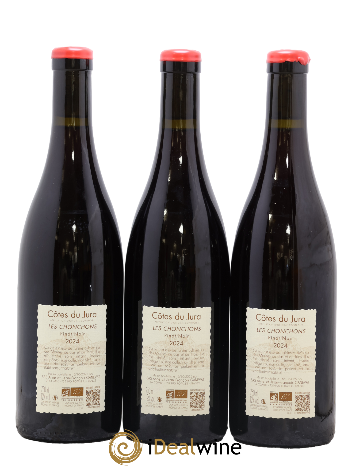 Côtes du Jura Les Chonchons Anne et Jean François Ganevat 2024 - Lot of 3 bottles - 1