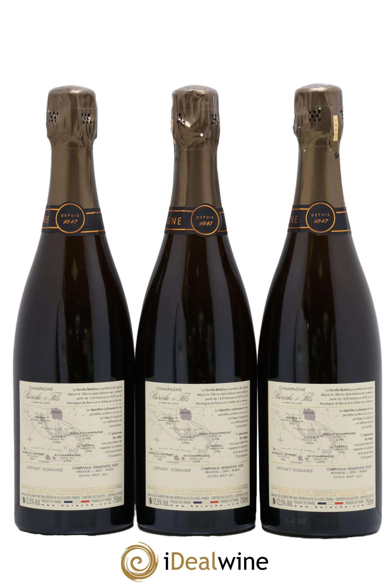 Campania Remensis Extra-Brut Bérêche et Fils 2020 - Lot of 3 bottles - 1