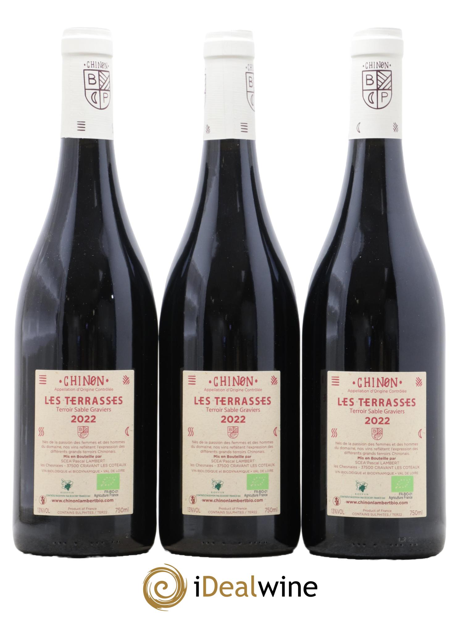 Chinon Les Terrasses Lambert (Domaine) 2022 - Lot de 3 bouteilles - 1