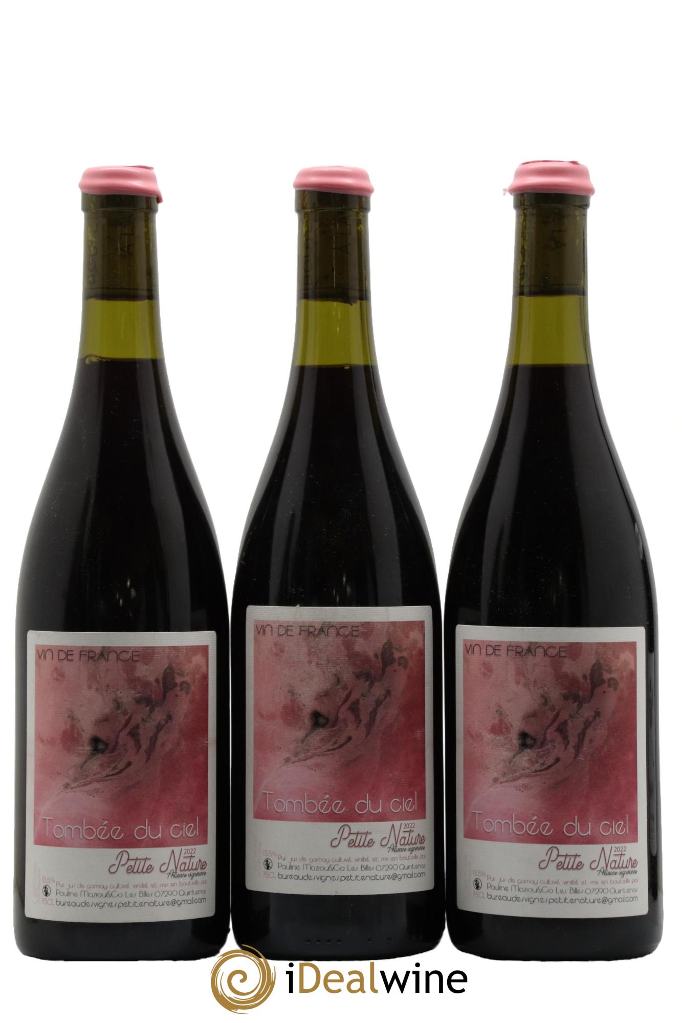 Vin de France Gamay Tombée du Ciel Petite Nature 2022 - Lot de 3 bouteilles - 0