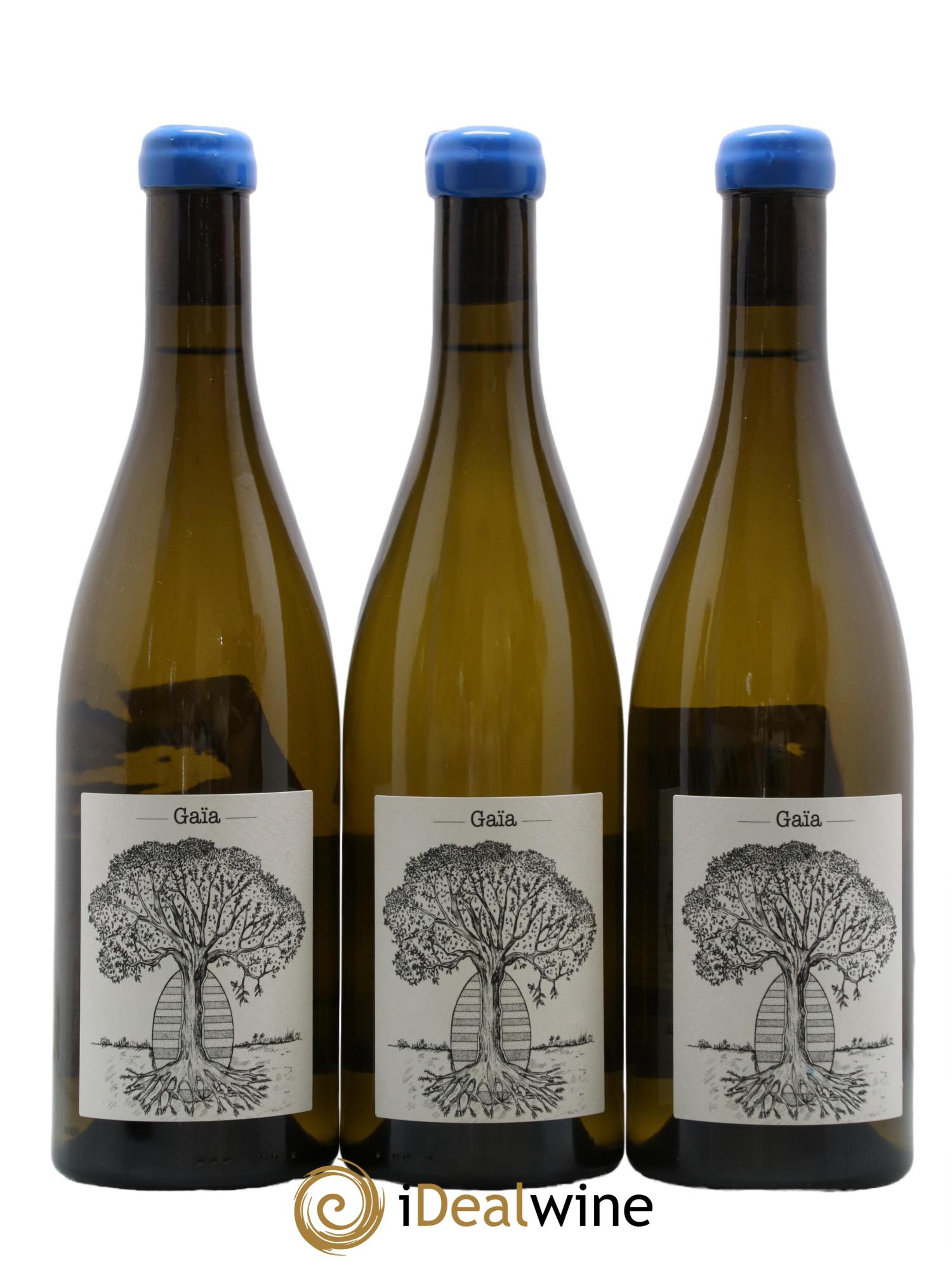 Muscadet-Sèvre-et-Maine Gaia Jérôme Bretaudeau - Domaine de Bellevue 2019 - Lot de 3 bouteilles - 0