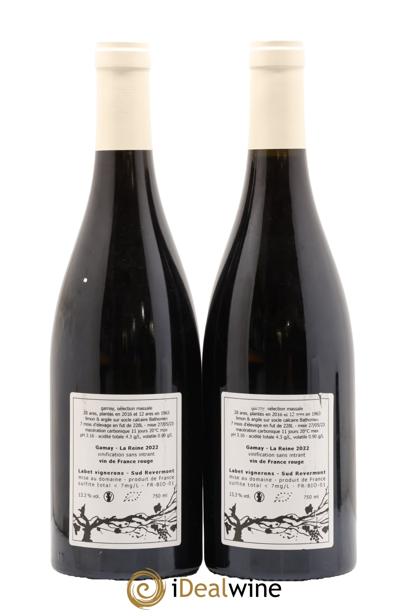 Vin de France Gamay La Reine Labet (Domaine) 2022 - Posten von 2 Flaschen - 1