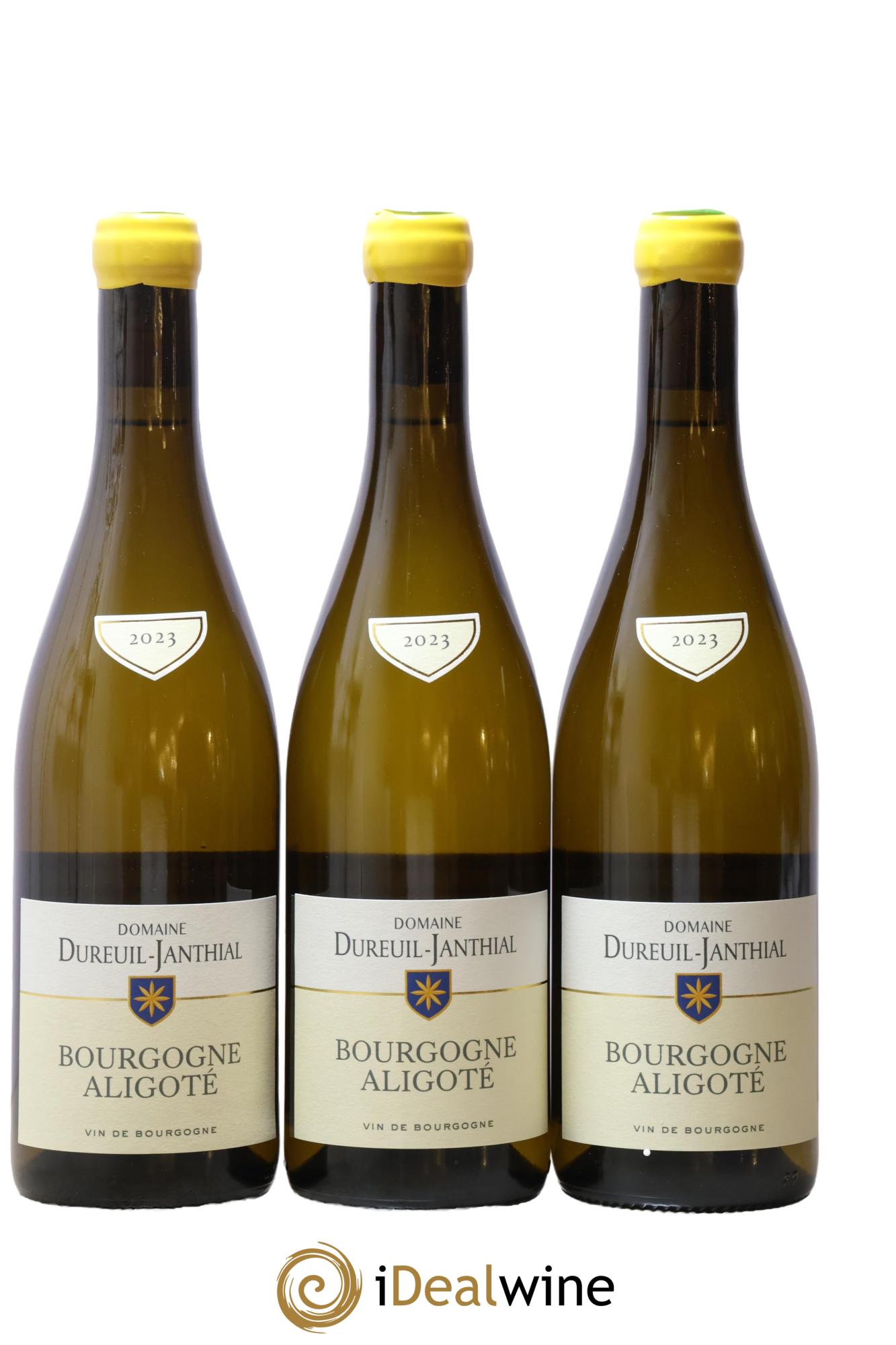 Bourgogne Aligoté Vincent Dureuil-Janthial 2023 - Lot de 3 bouteilles - 0