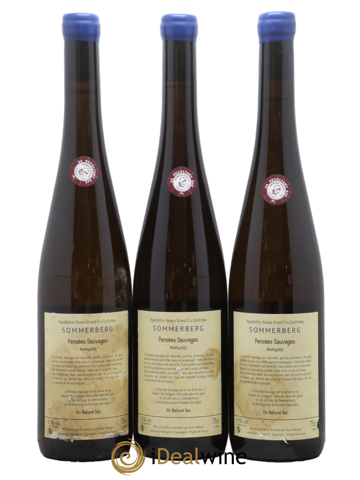 Alsace Riesling Sommmerberg Les Pensees Sauvages Famille Hebinger 2022 - Posten von 3 Flaschen - 1