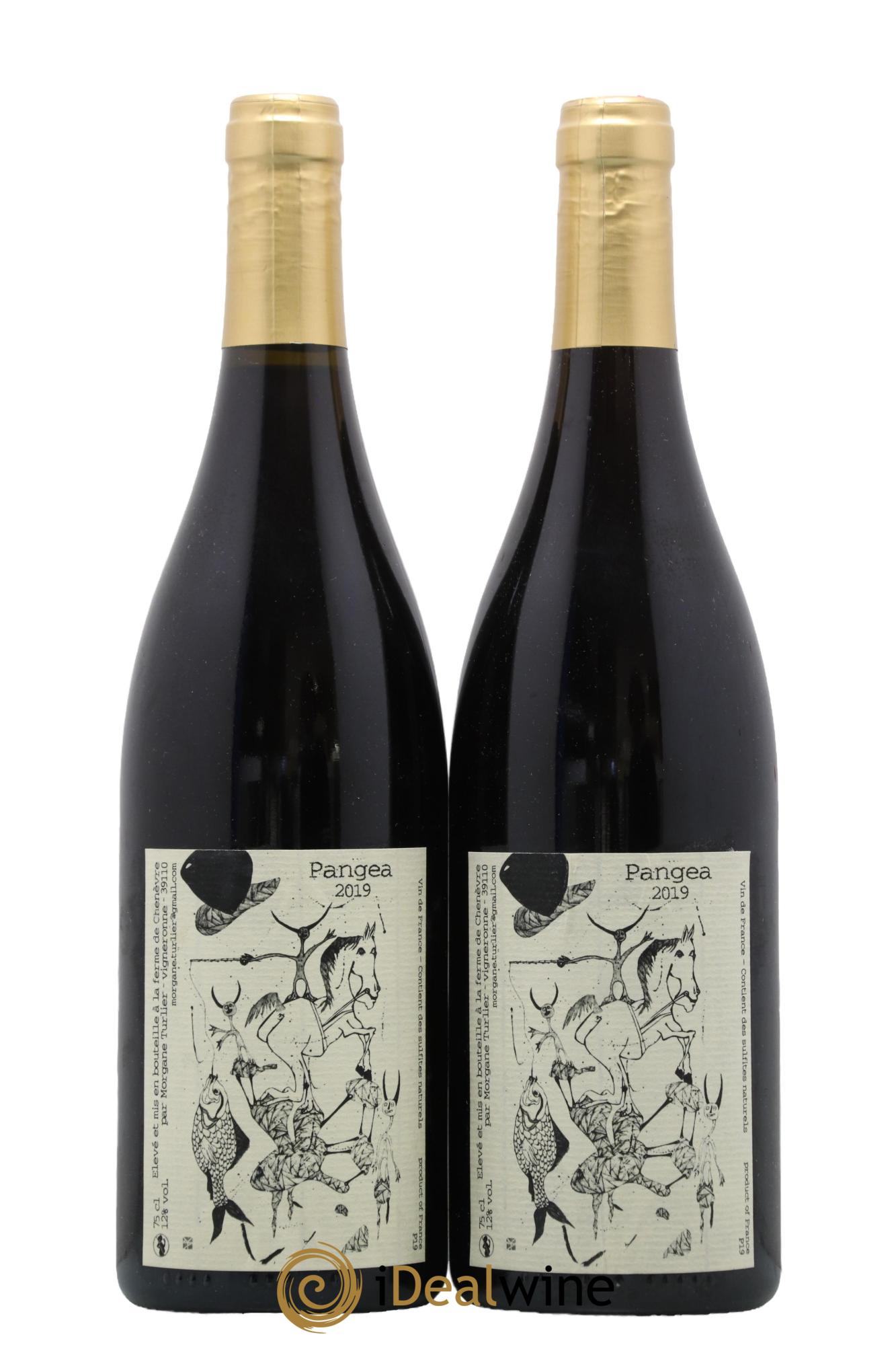 Vin de France Pangea Morgane Turlier 2019 - Lot de 2 bouteilles - 0