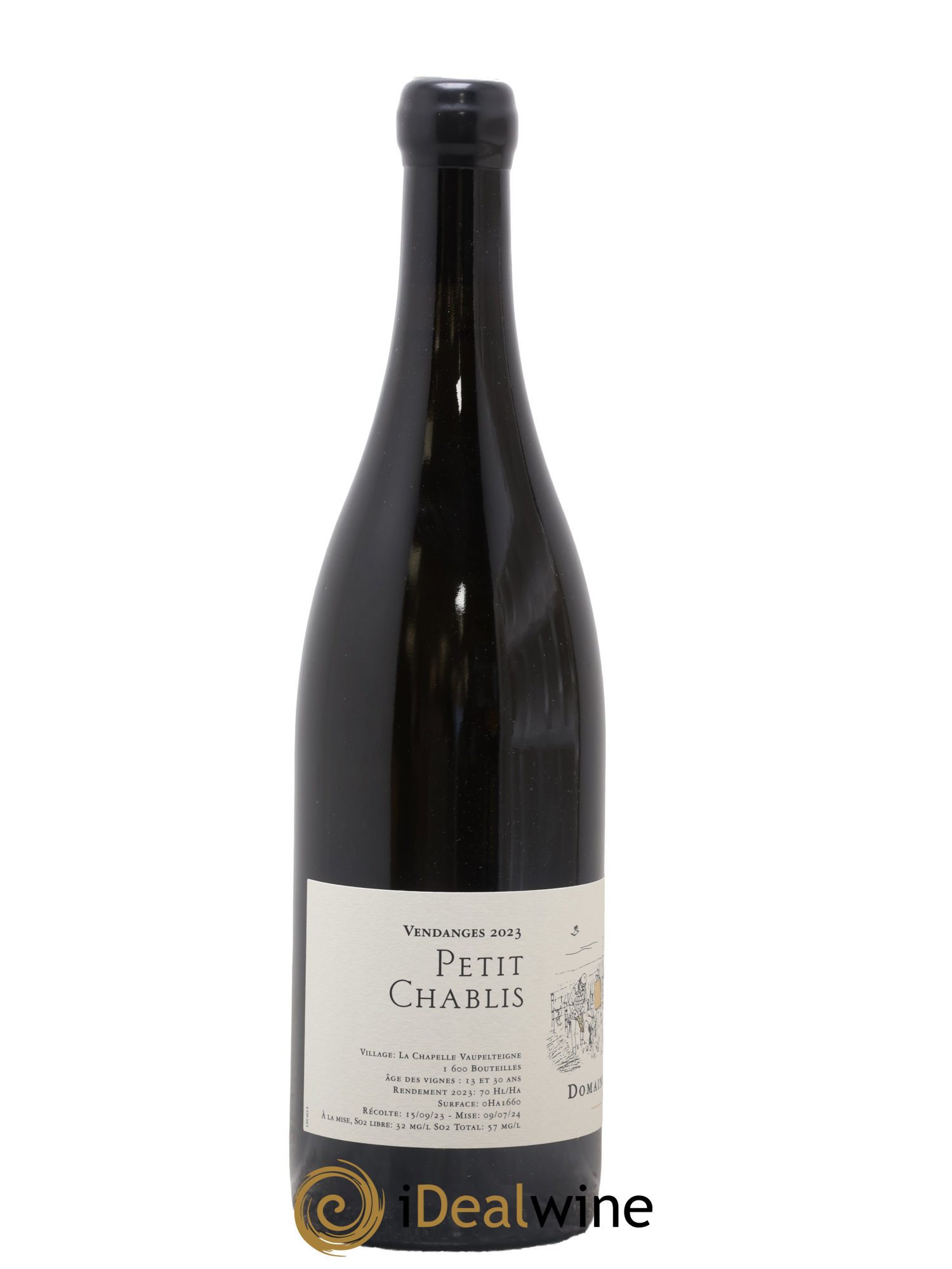 Petit Chablis Jean Dauvissat  (Domaine) 2023 - Posten von 1 Flasche - 1