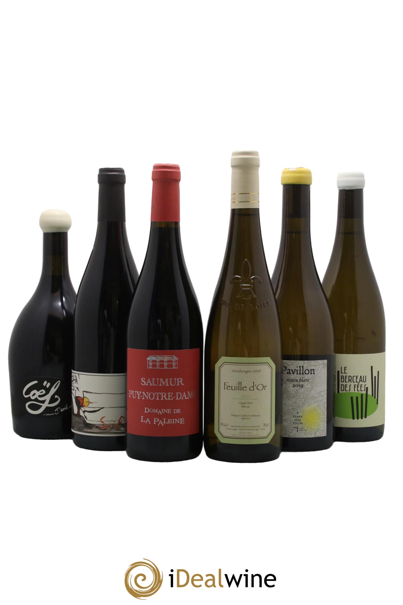 Assortiment de vins d'Anjou noir - Saumur - Bourgueil N°5 - Lot of 6 bottles - 0