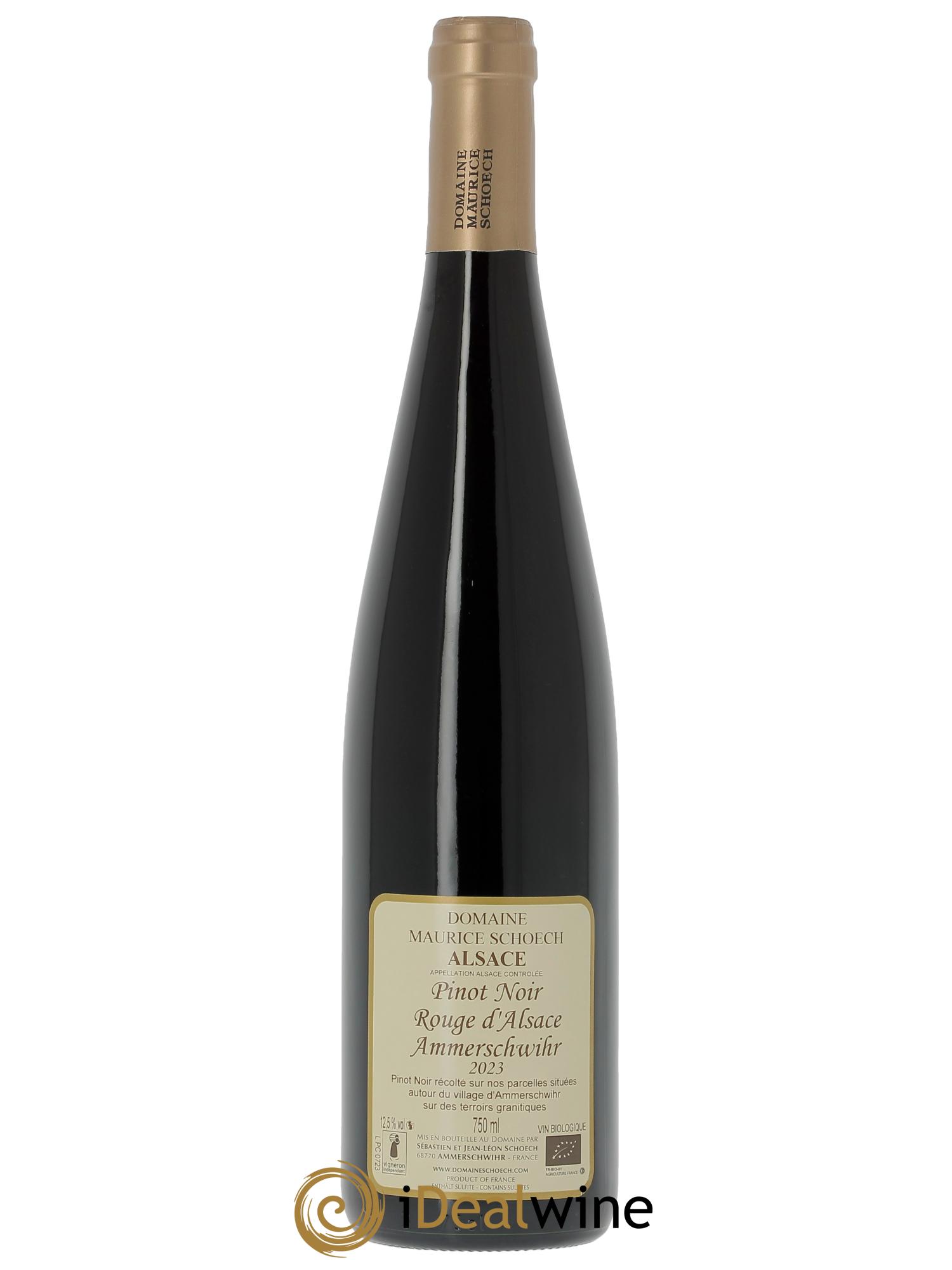 Alsace Pinot Noir Ammerschwihr Maurice Schoech (Domaine) 2023 - Lot de 1 bouteille - 1