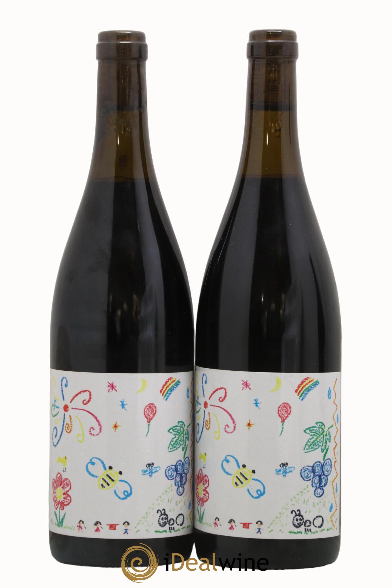 Vin de France (Ex Cornas) Hirotake Ooka - Domaine La Grande Colline 2017 - Lot of 2 bottles - 0