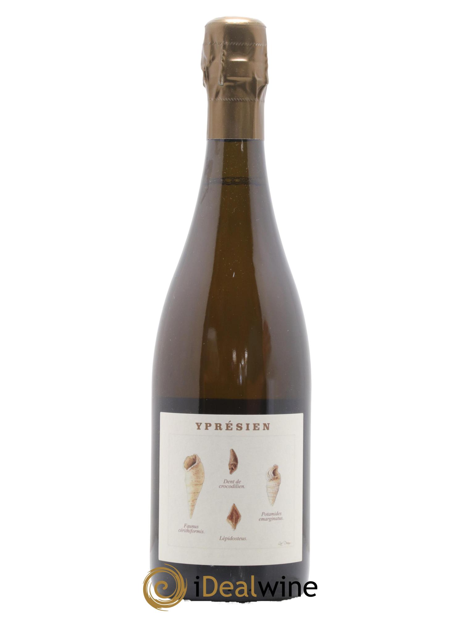 Yprésien Legrand Latour - Lot de 1 bouteille - 0