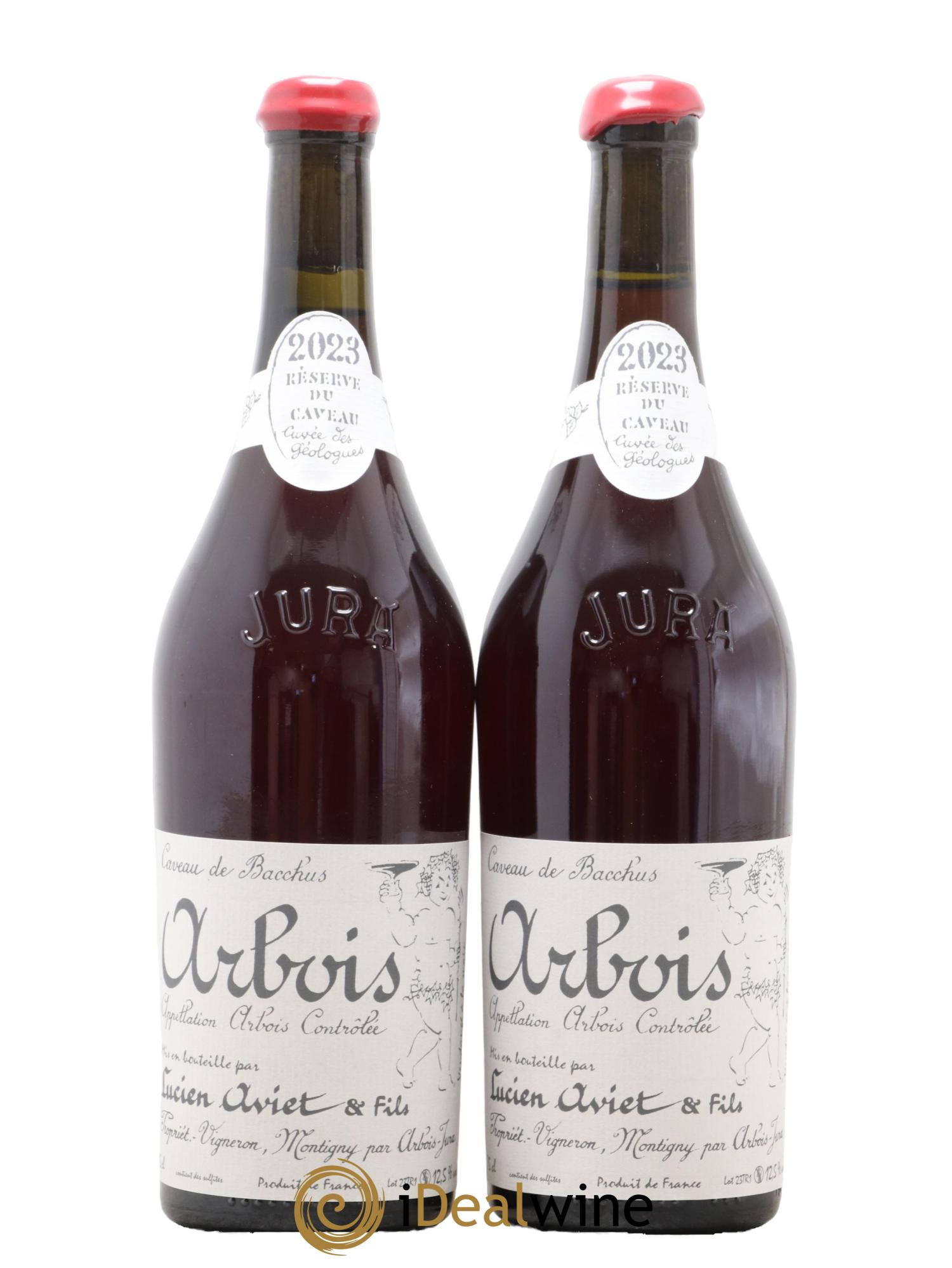 Arbois Trousseau Cuvée des Géologues Domaine Lucient Aviet et Fils 2023 - Lot de 2 bouteilles - 0