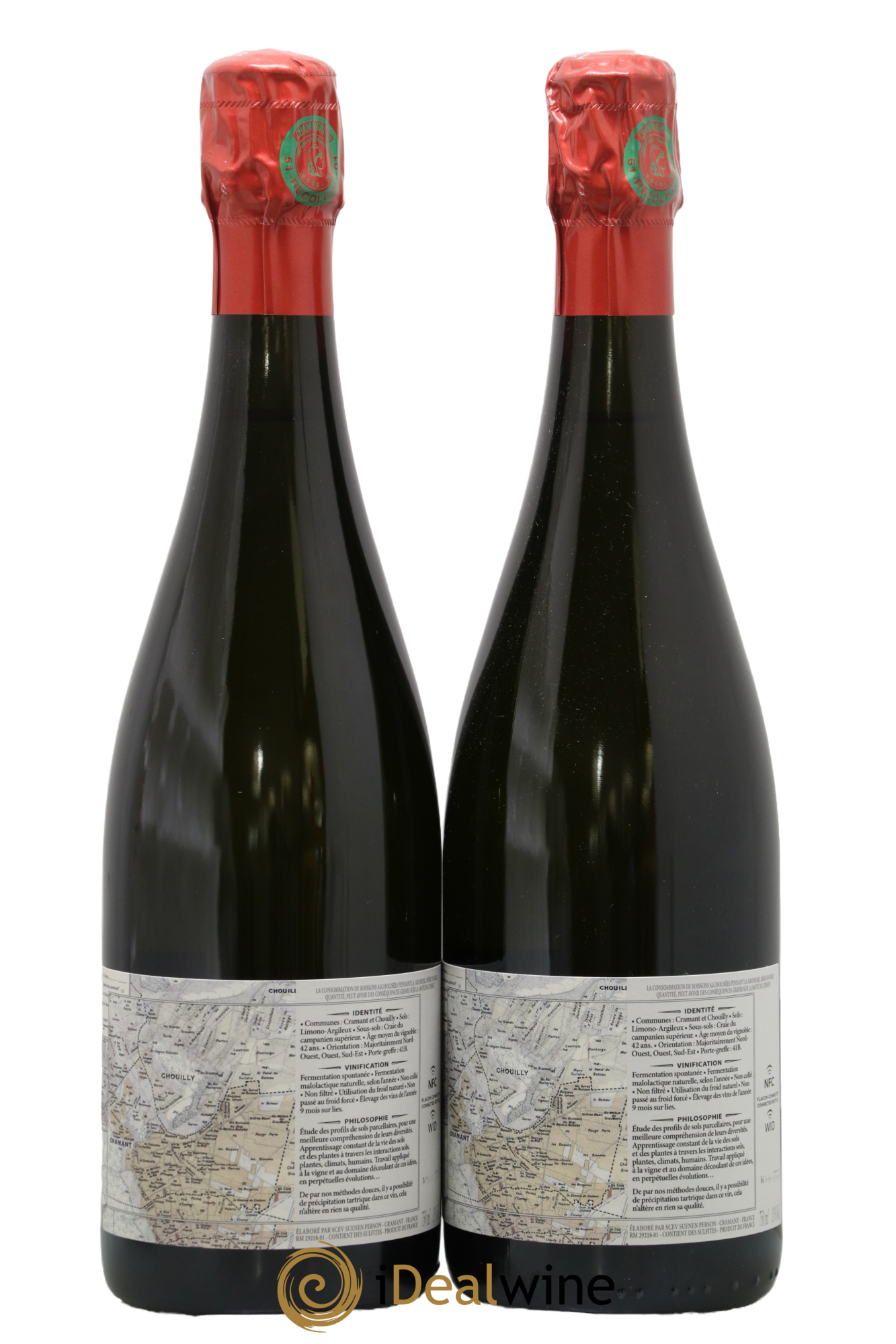 C C Blanc de Blancs Extra-Brut Suenen - Lot de 2 bouteilles - 1