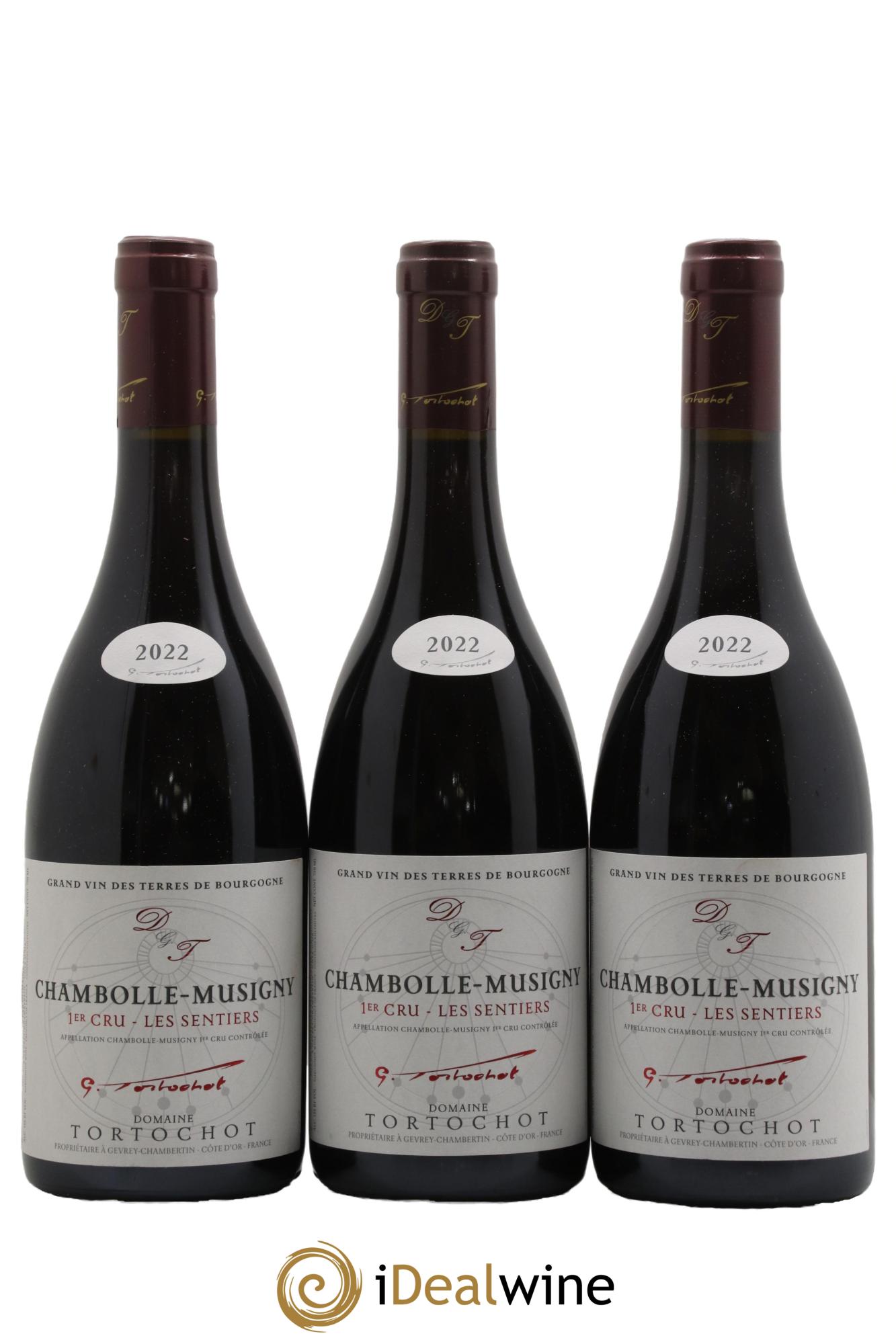 Chambolle-Musigny 1er Cru Les Sentiers Tortochot (Domaine) 2022 - Posten von 3 Flaschen - 0