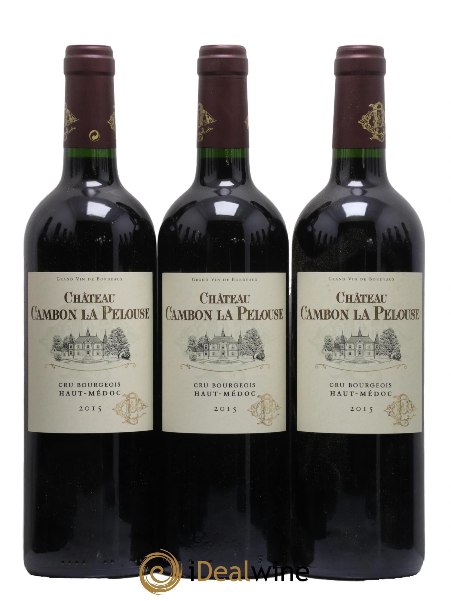 Château Cambon la Pelouse Cru Bourgeois 2015 - Lot de 12 bouteilles - 1