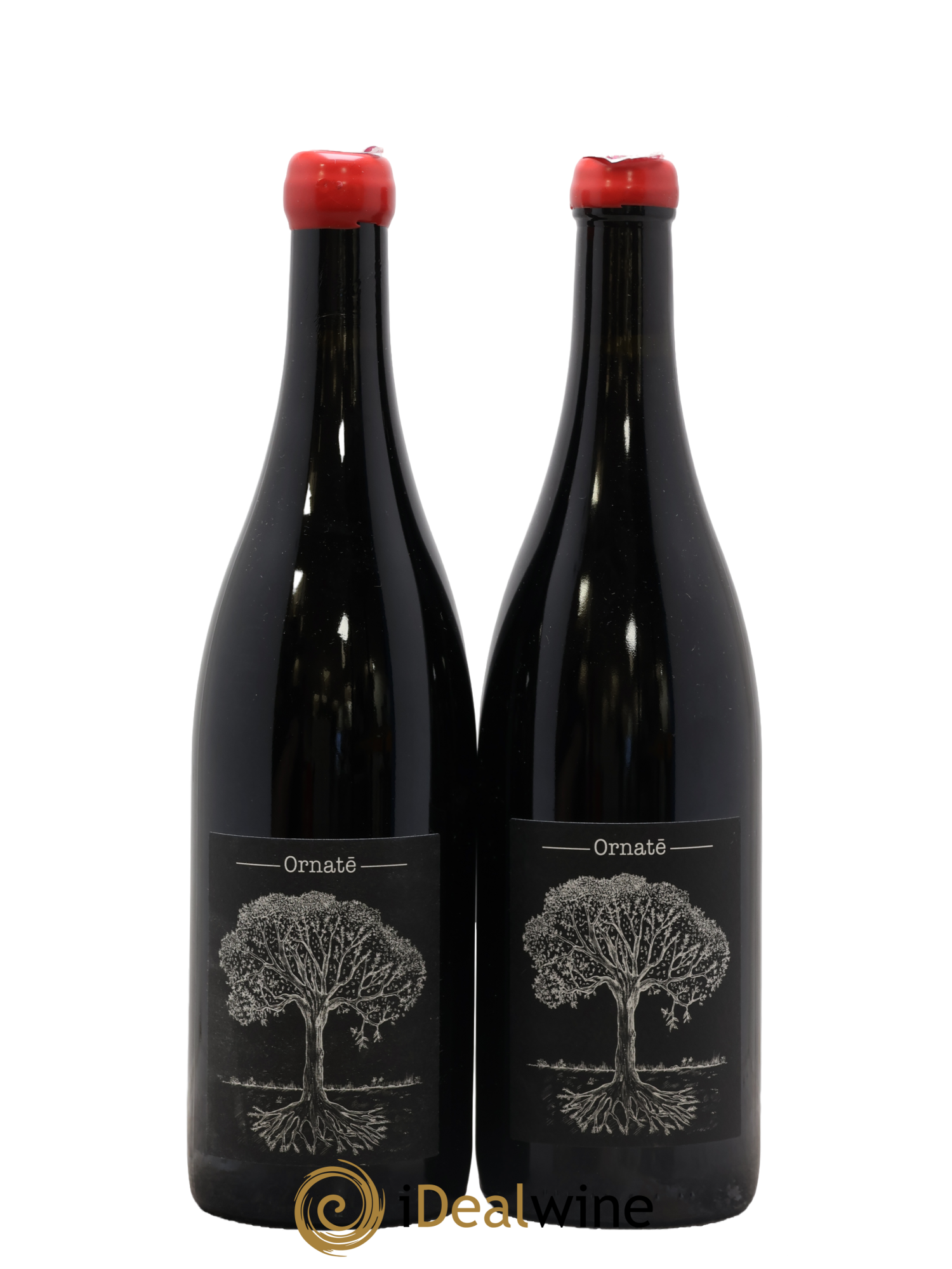 Vin de France Merlot Ornaté Jérôme Bretaudeau - Domaine de Bellevue 2020 - Posten von 2 Flaschen - 0