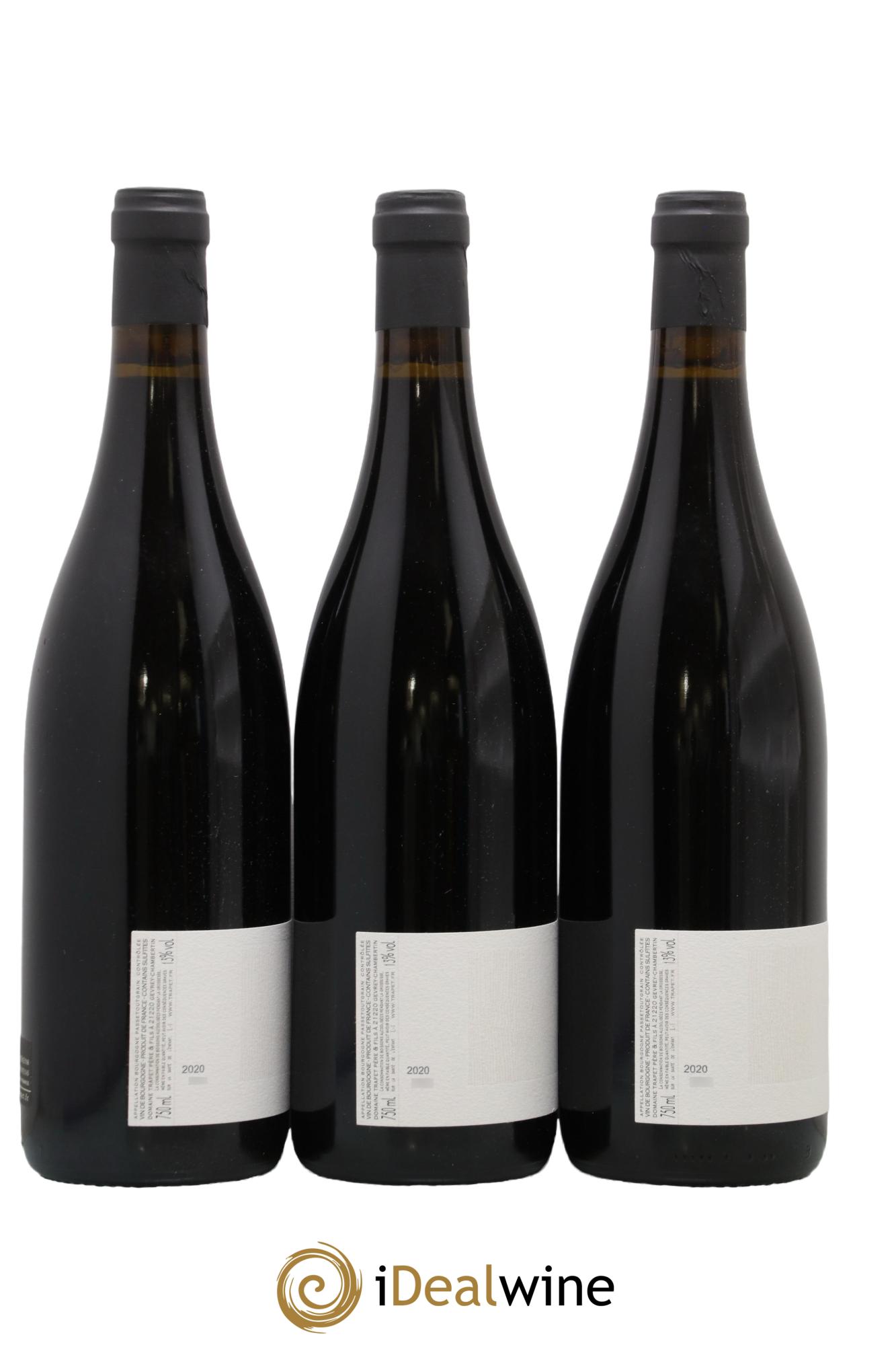 Bourgogne Passetoutgrain A Minima Domaine Trapet 2020 - Lotto di 3 bottiglie - 1