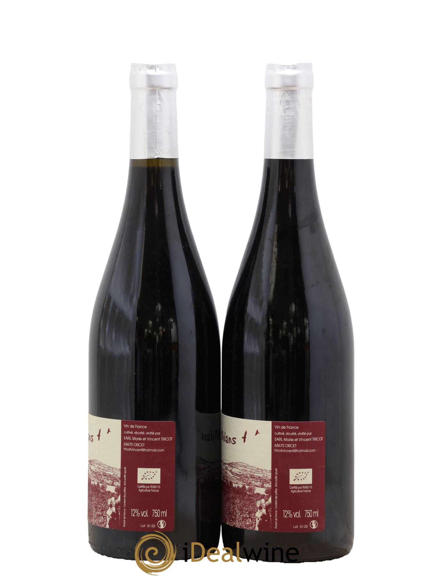 Vin de France Les Milans Vincent Tricot 2022 - Lot de 2 bouteilles - 1